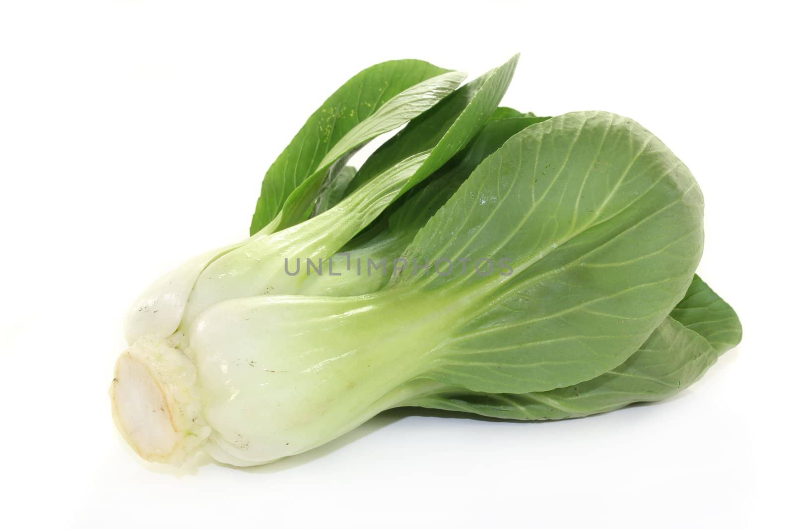 fresh green pak choi on a white background