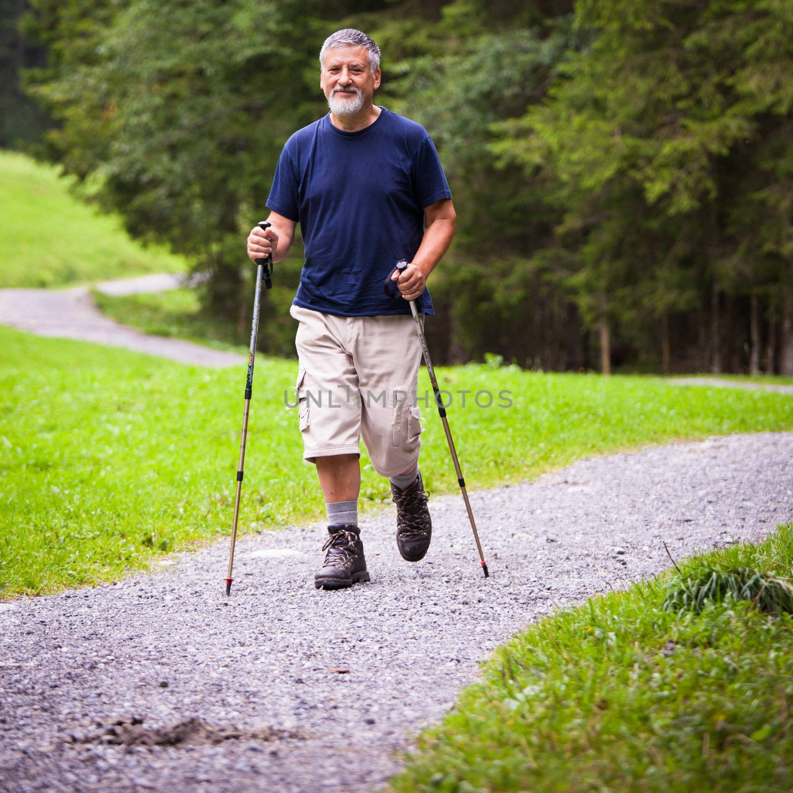 active handsome senior man nordic walking outdoors on a forest by viktor_cap