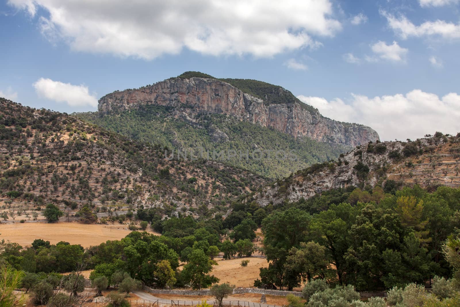 Image of a mediteraneean vegetation in front of the mountain Puig de s’Alcadena near the Alaro town in Mallorca in Balearic Islands, Spain.