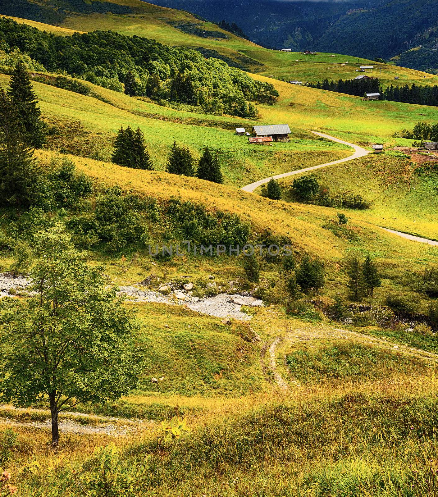 Alpine landscape with chalets, Savoy, France