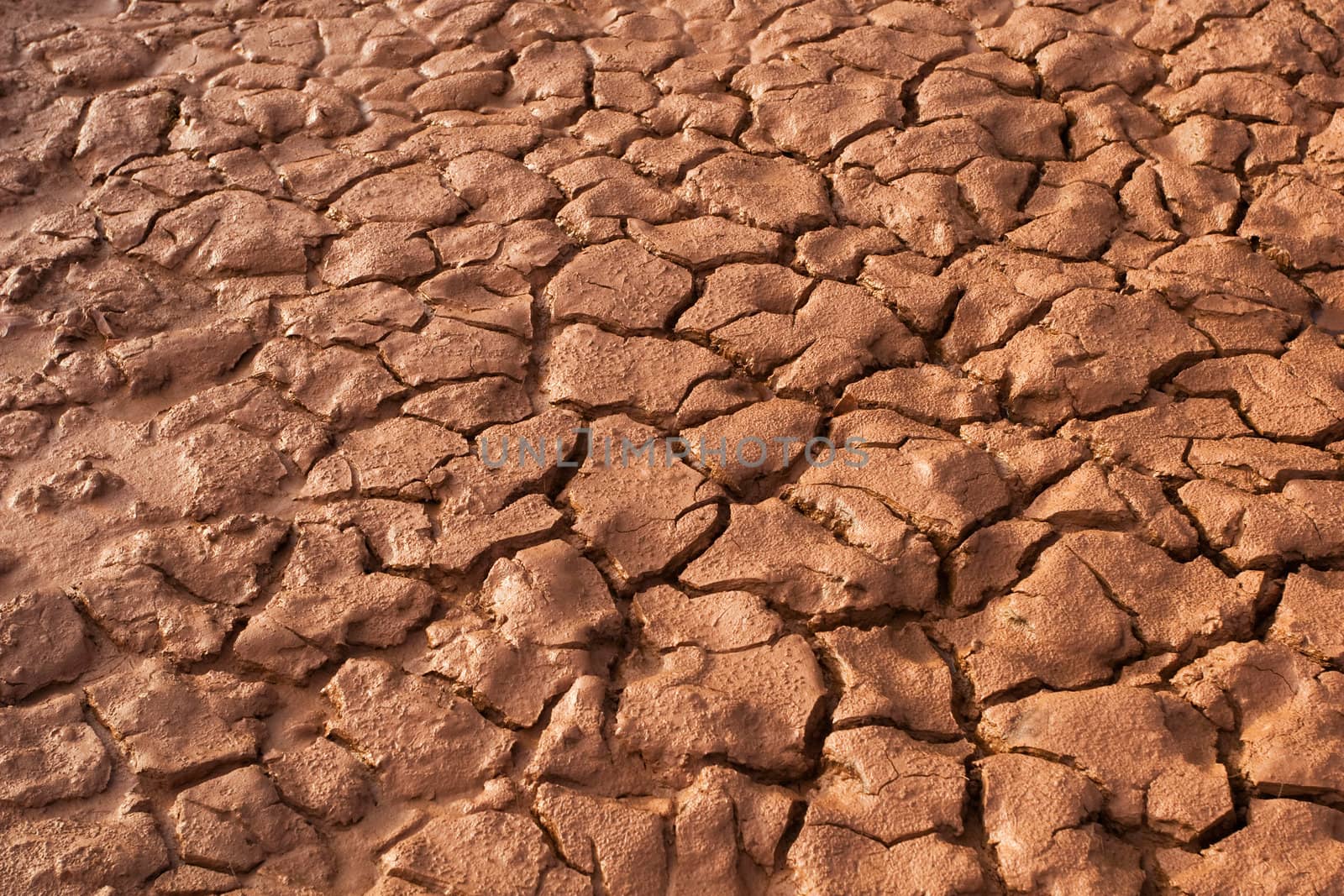 Cracked Ground
