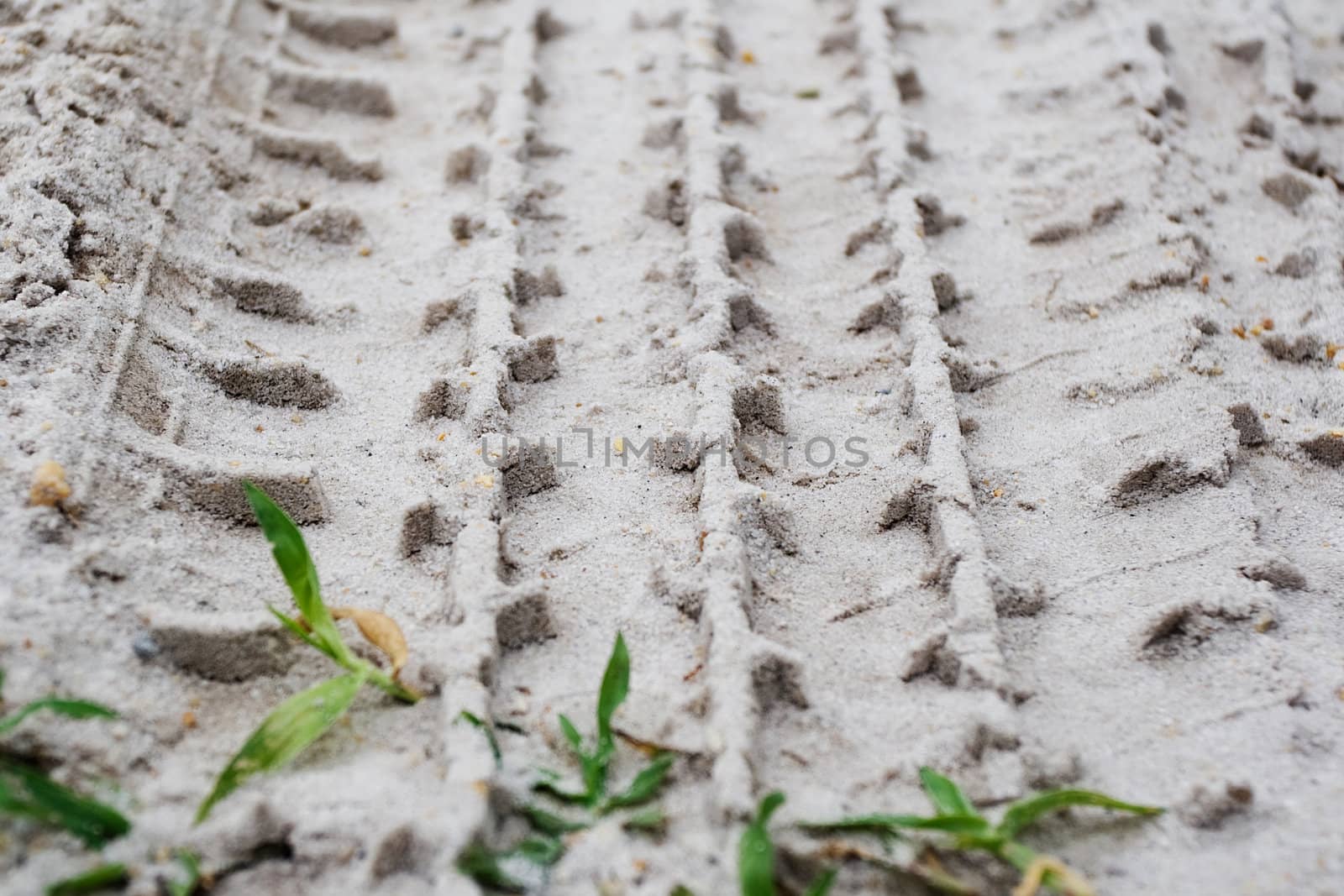 Tire Tracks in the Sand