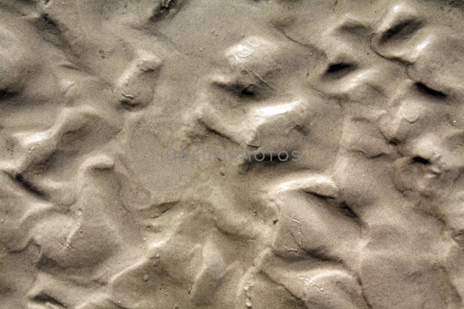 Sandy ground