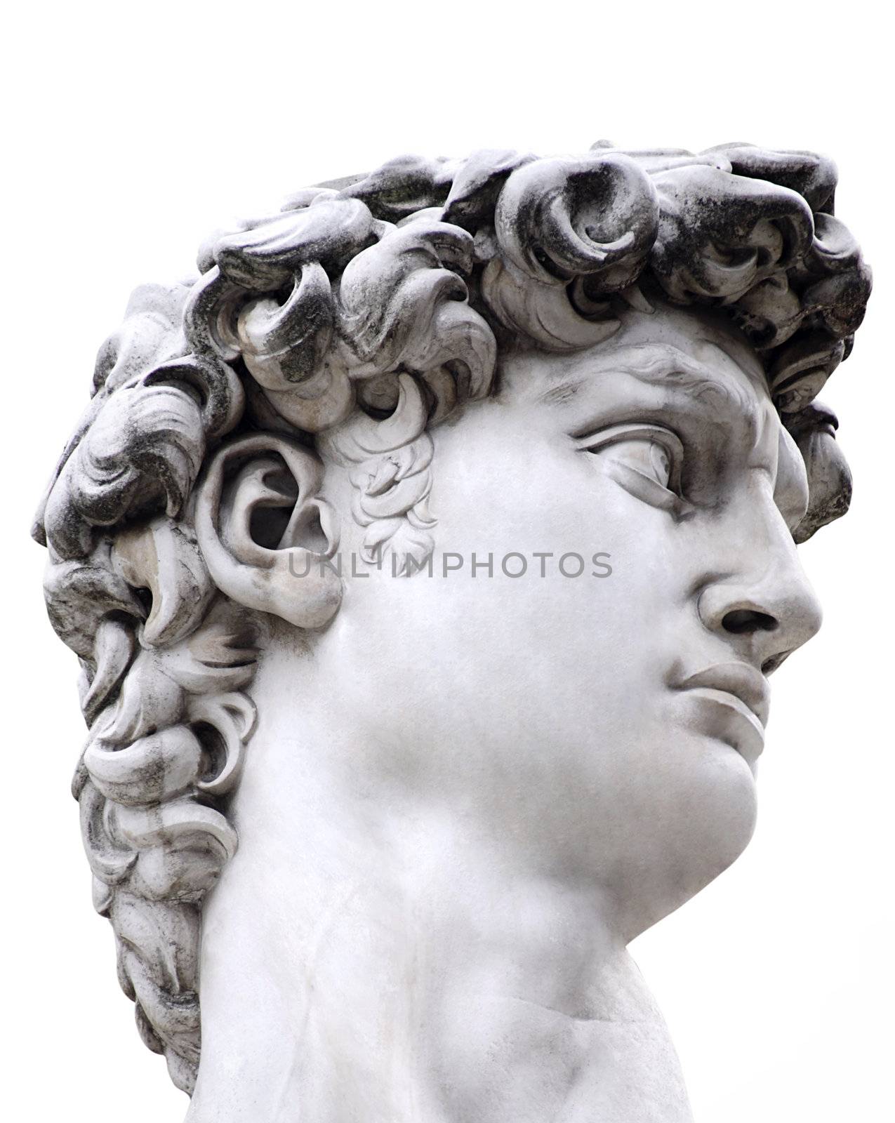 Head of a famous statue by Michelangelo - David from Florence, isolated on white with clipping path