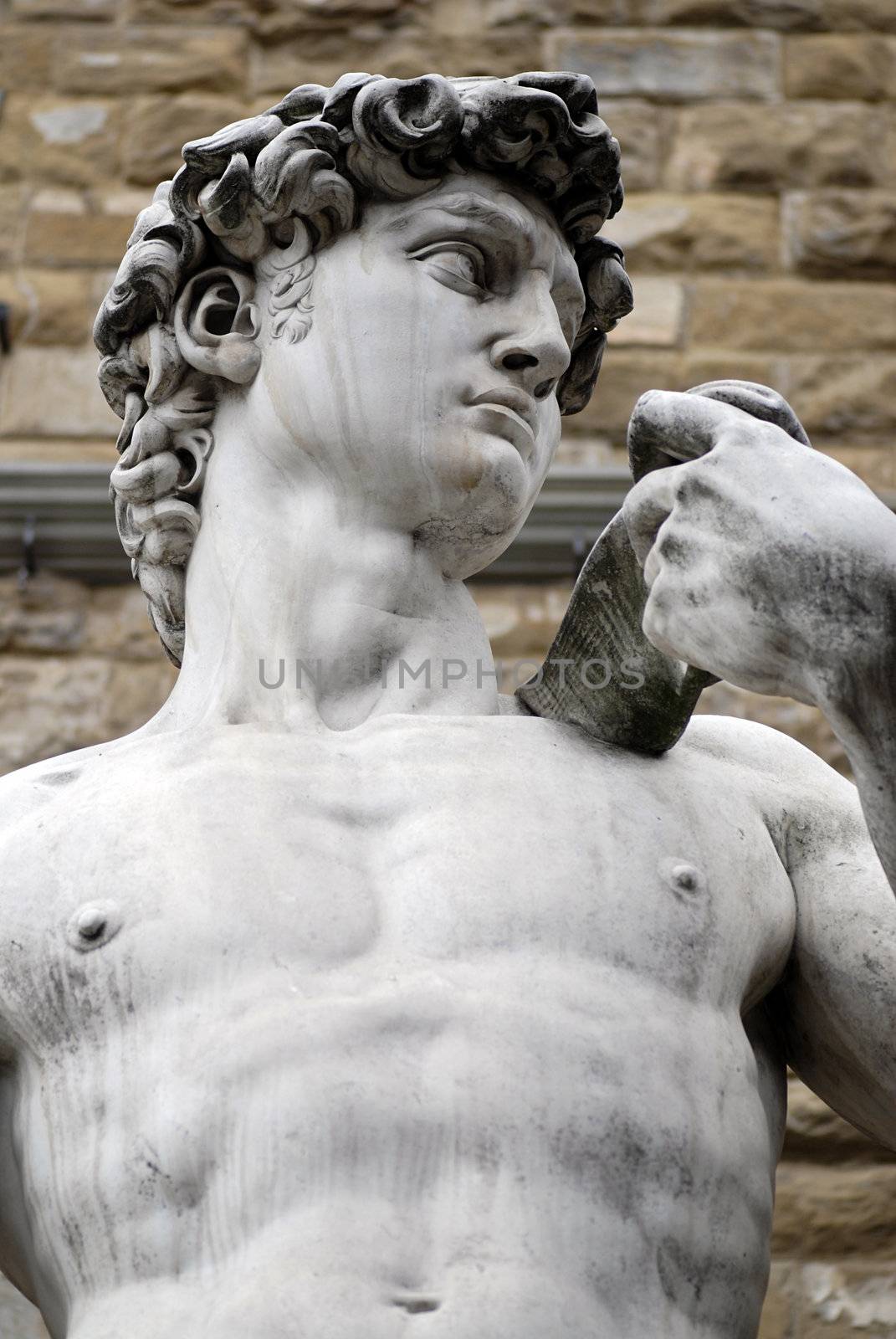Torso of a famous statue by Michelangelo - David from Florence
