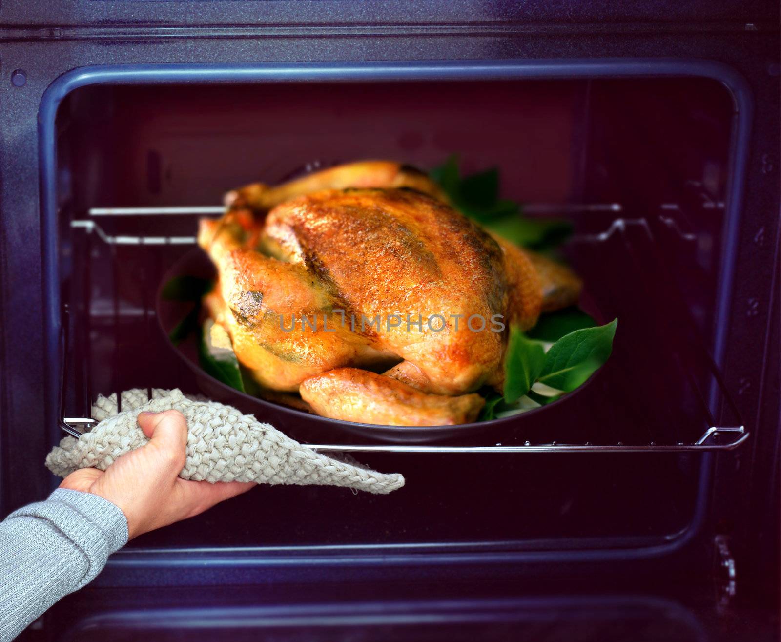 appetizing roast chicken and potatoes in the oven