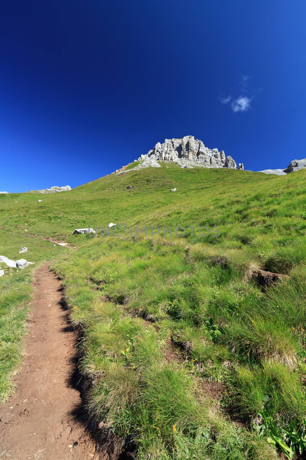 summer landscape of Italian Dolomites in San Pellegrino pass on a bright sunny day