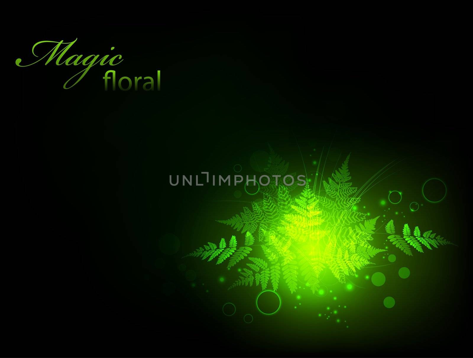 magic green fern floral decoration in the night, copyspace