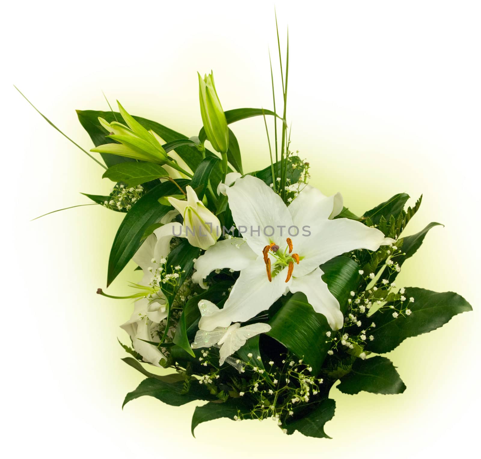 bouquet of lilies and green leaves over white