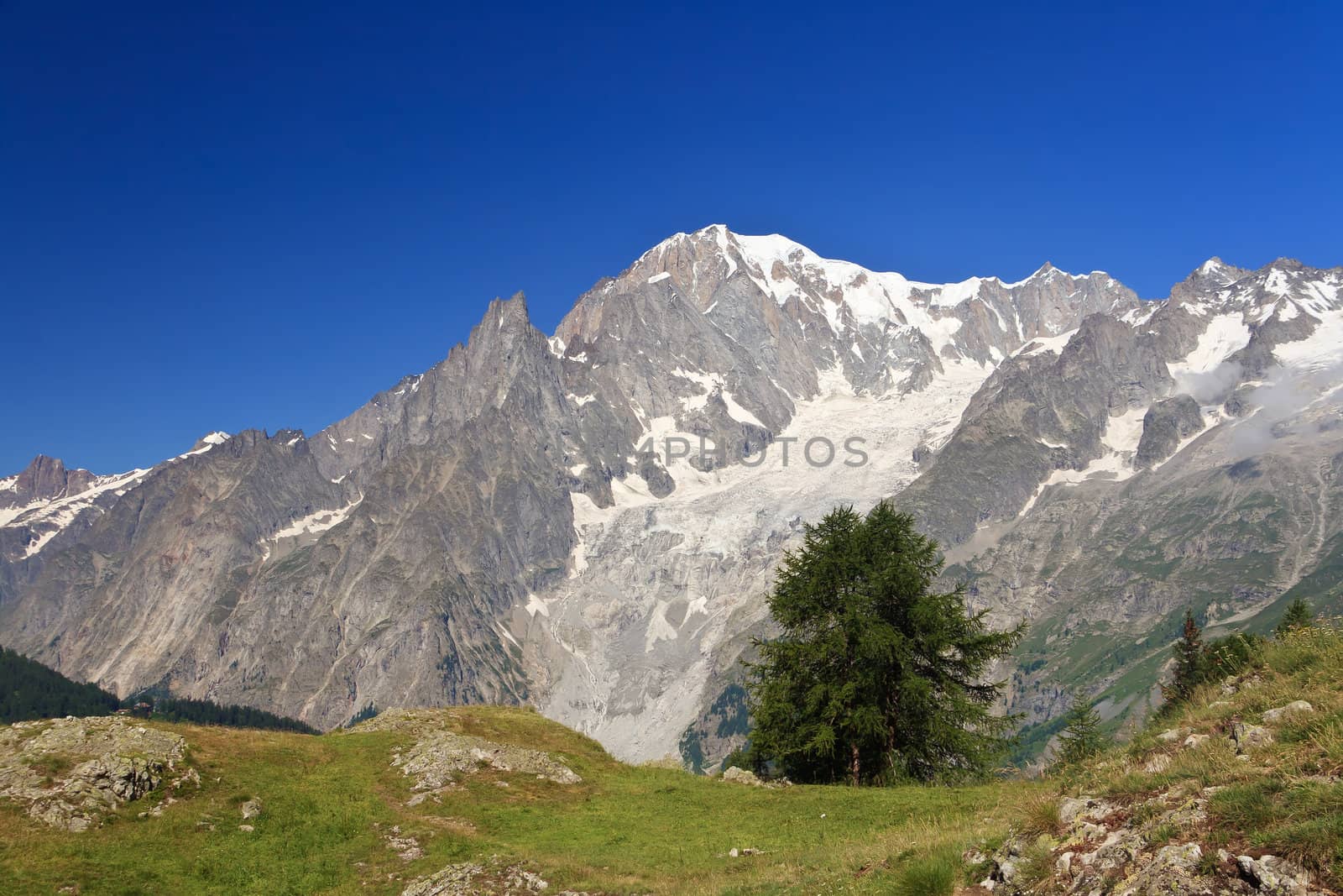 summer view Mont Blanc from Ferret valley, Courmayeur, Italy