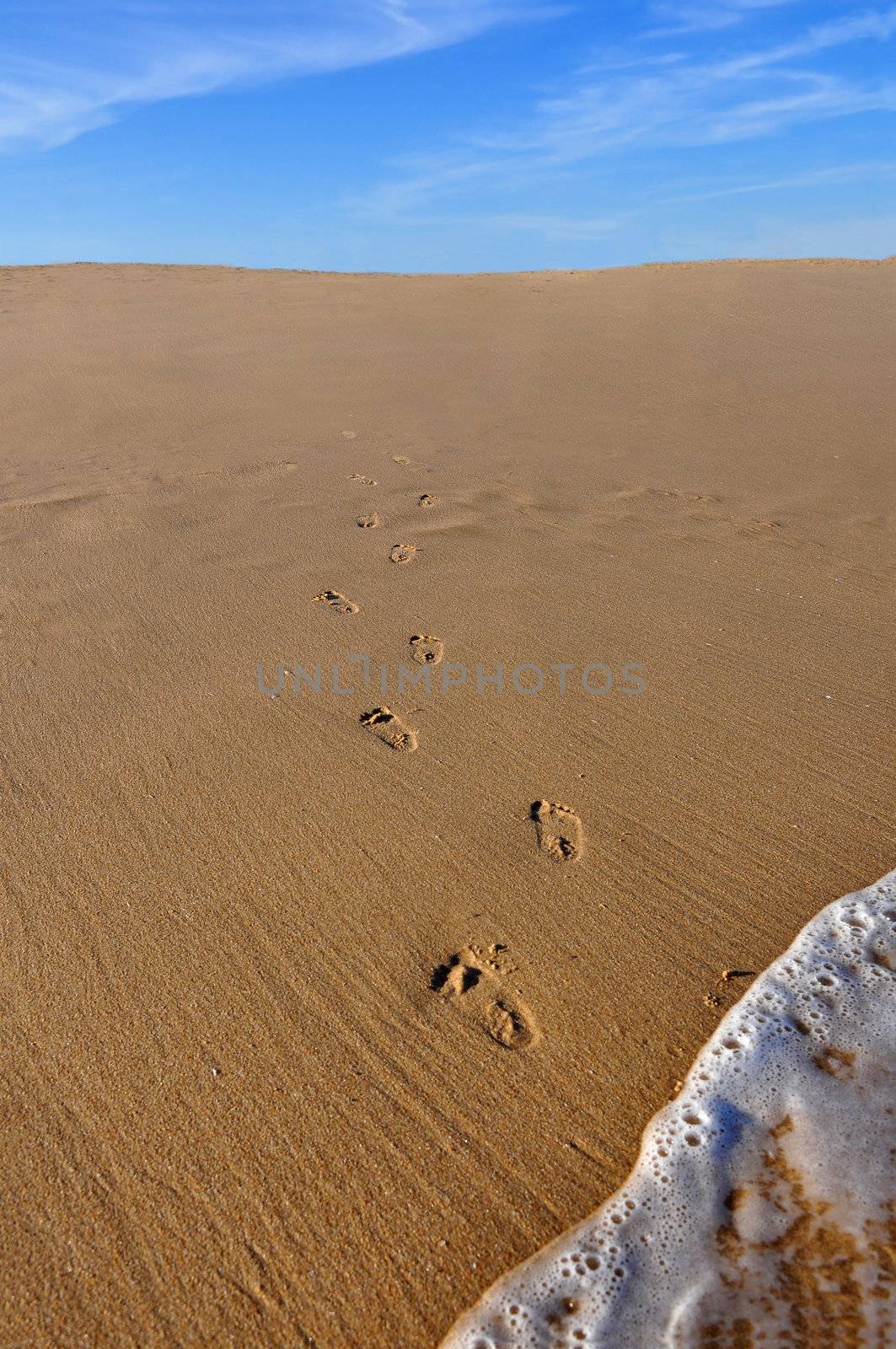 Baby footprints going out of the ocean. Darkened corners.High contrast in the sand.