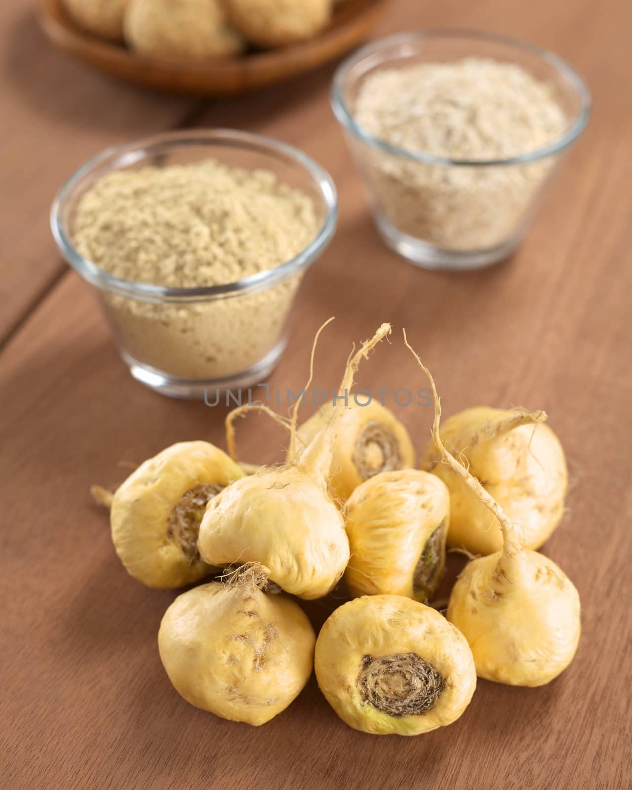 Fresh maca roots or Peruvian ginseng (lat. Lepidium meyenii) which are popular in Peru for their various health effects with maca products (maca powder, oatmeal with maca, maca cookies) in the back (Selective Focus, Focus on the maca roots in the front)