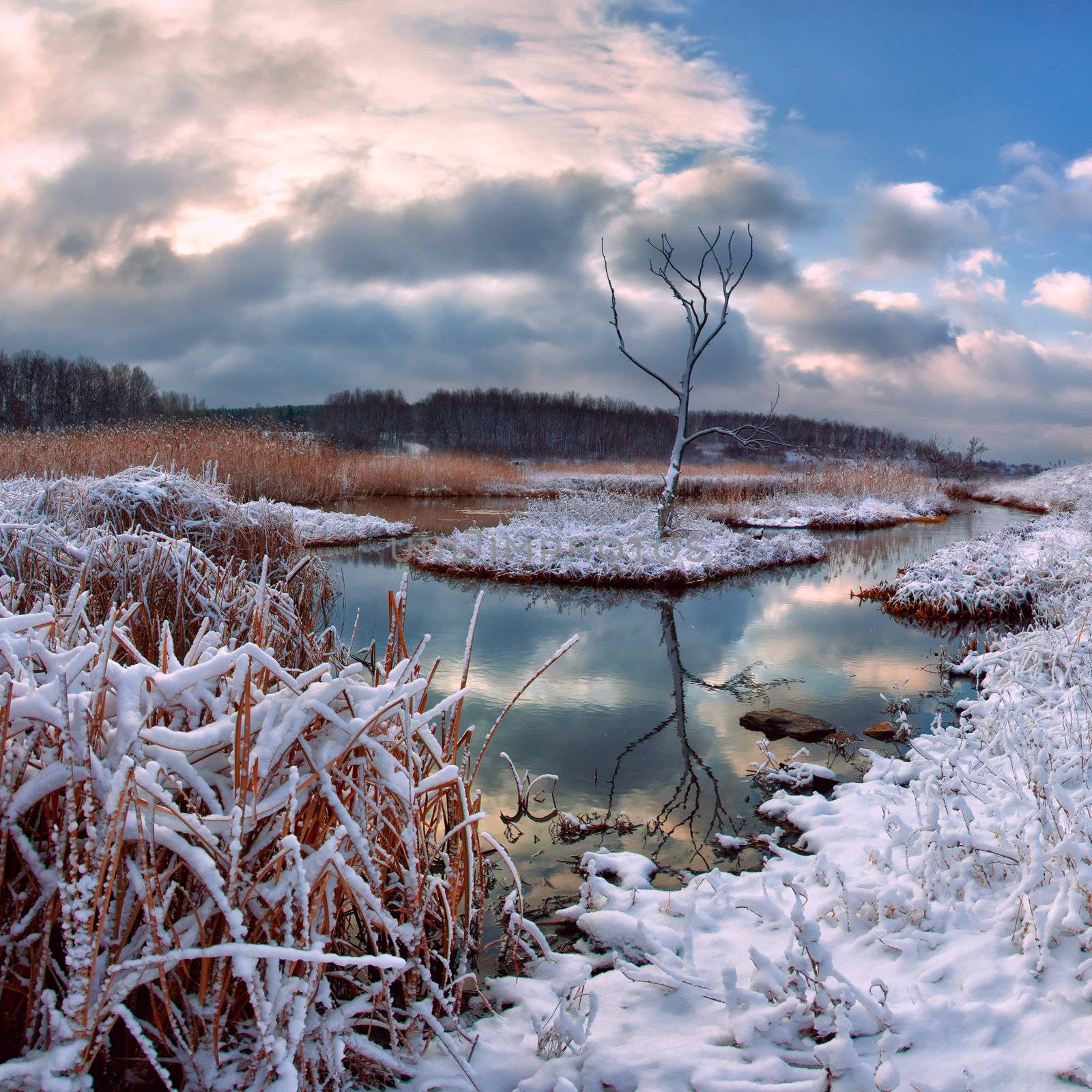 Winter landscape with snowy river and dry tree, majestic sky