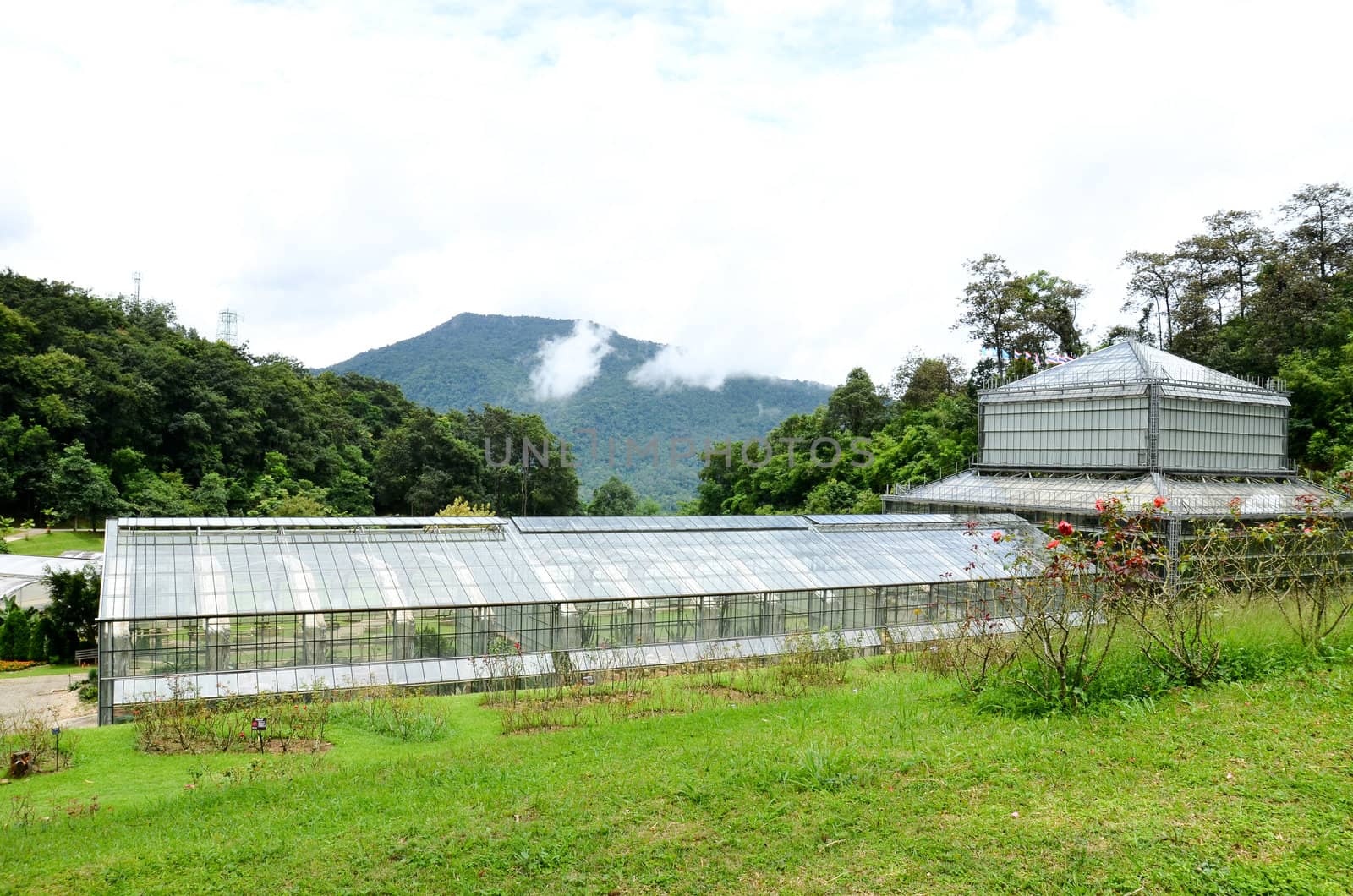greenhouse in queen sirikit botanical garden, thailand