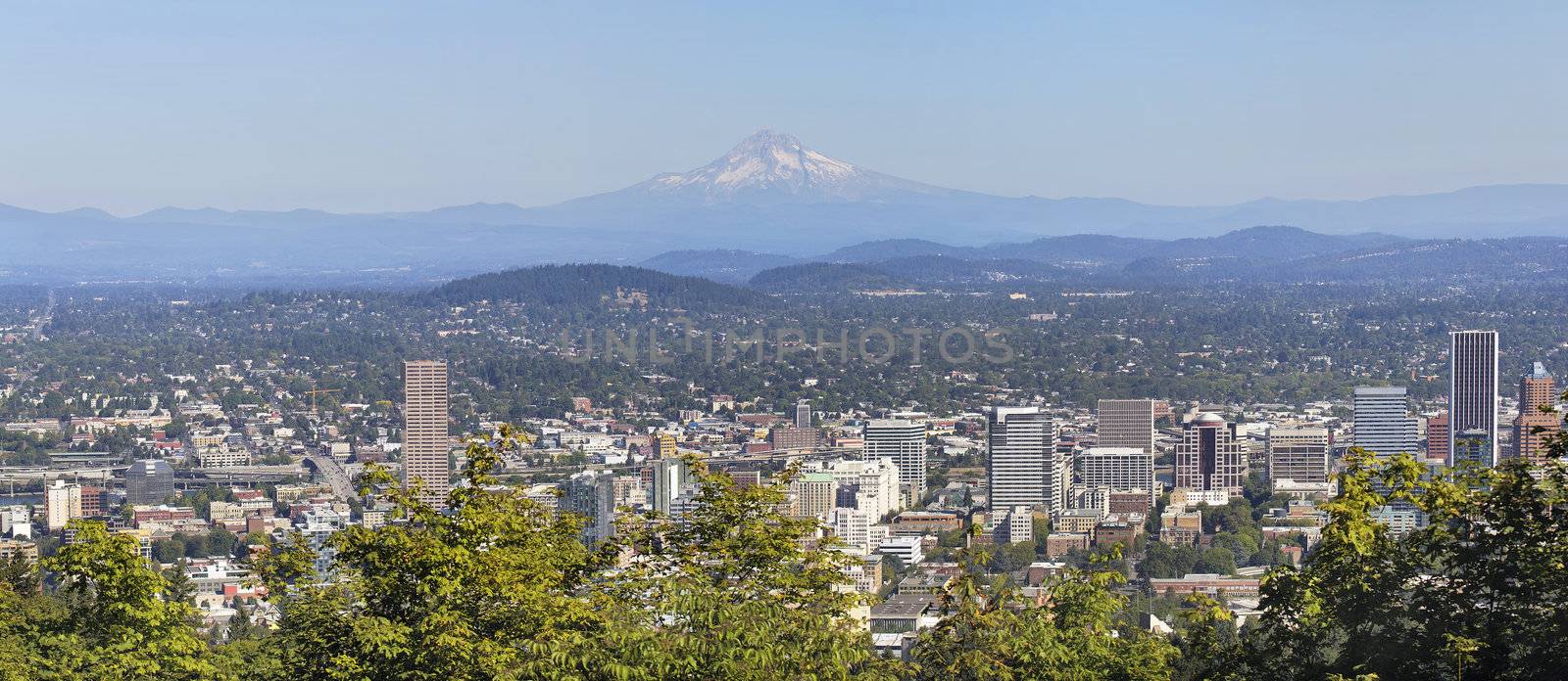 Portland Downtown Cityscape and Landscape with Mount Hood and Trees Panorama