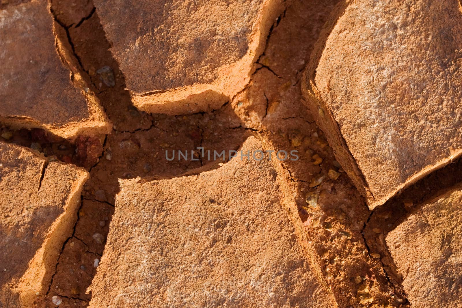 Cracked Ground