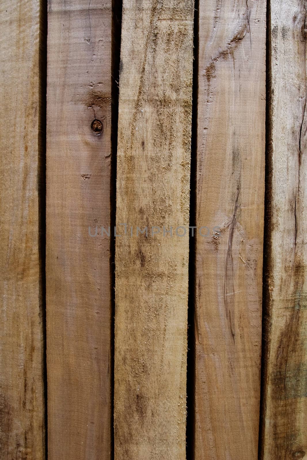 wood texture 
