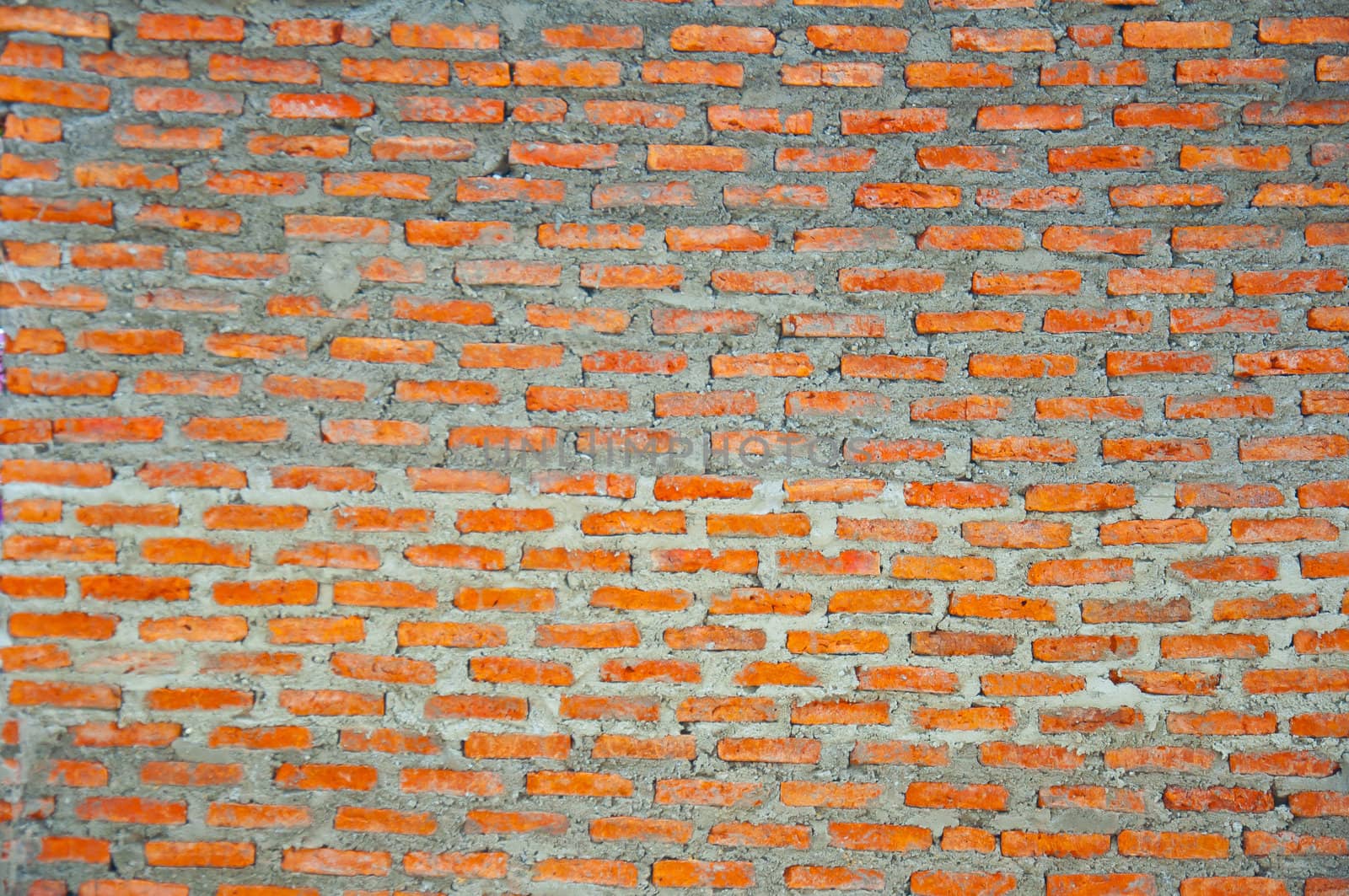 New brick wall by buffaloboy