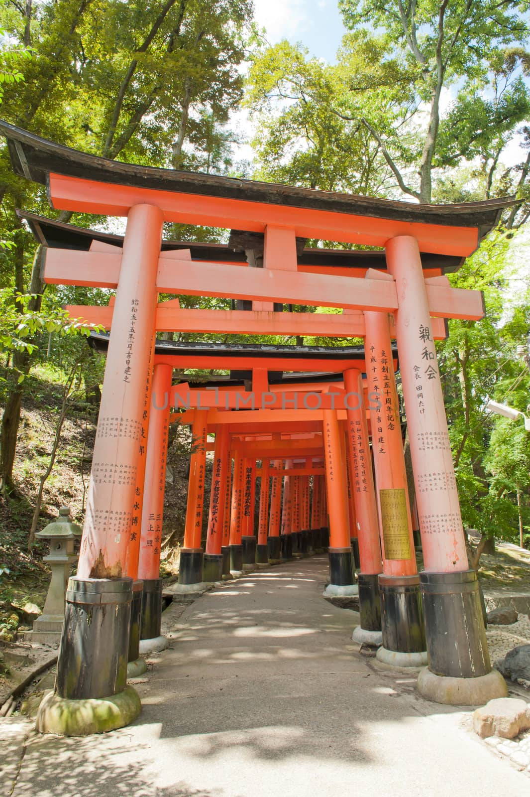 Famous shinto shrine of Fushimi Inari Taisha near Kyoto includes around 1300 orange torii gates, Japan