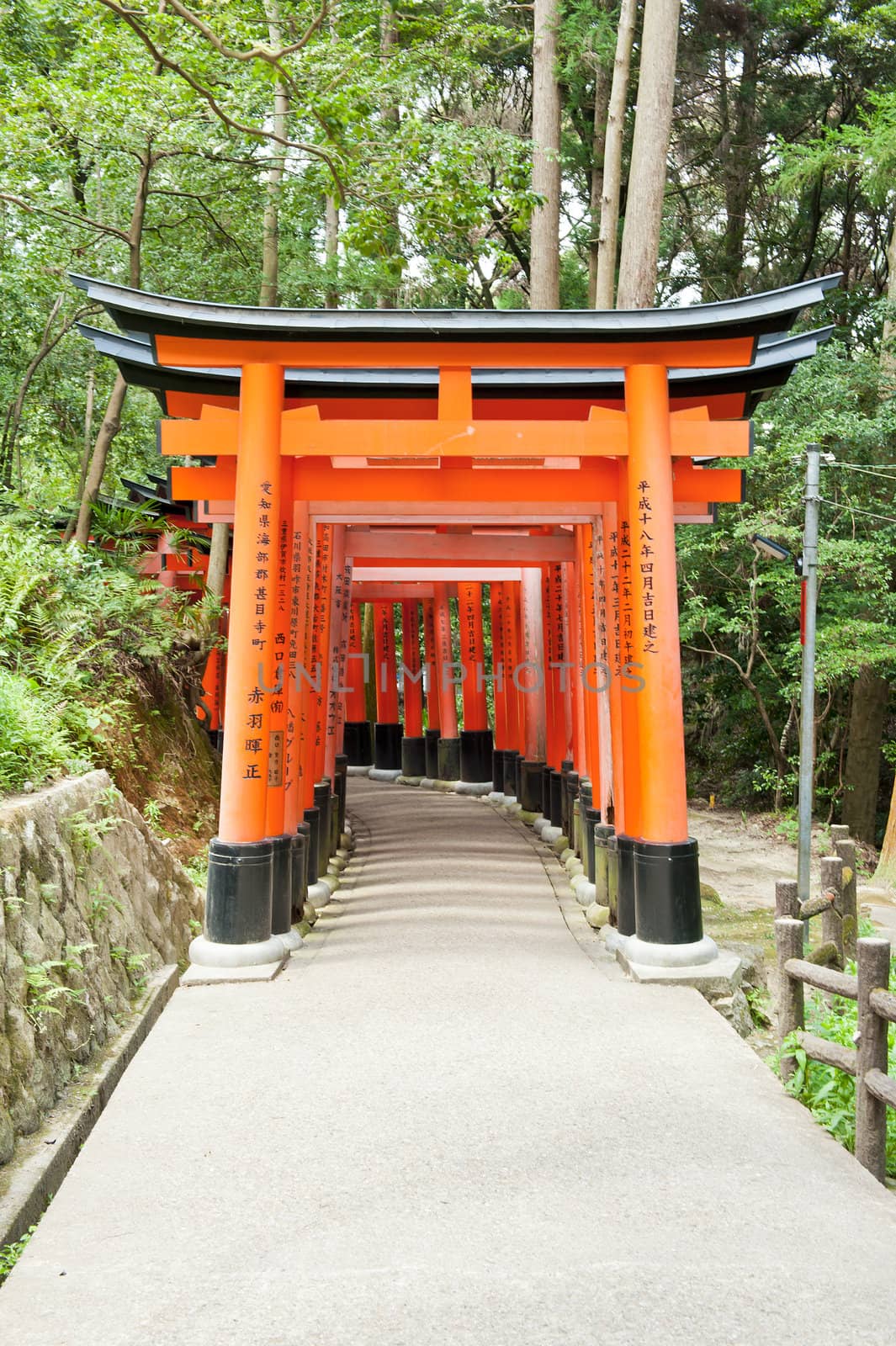 Fushimi Inari  by fyletto