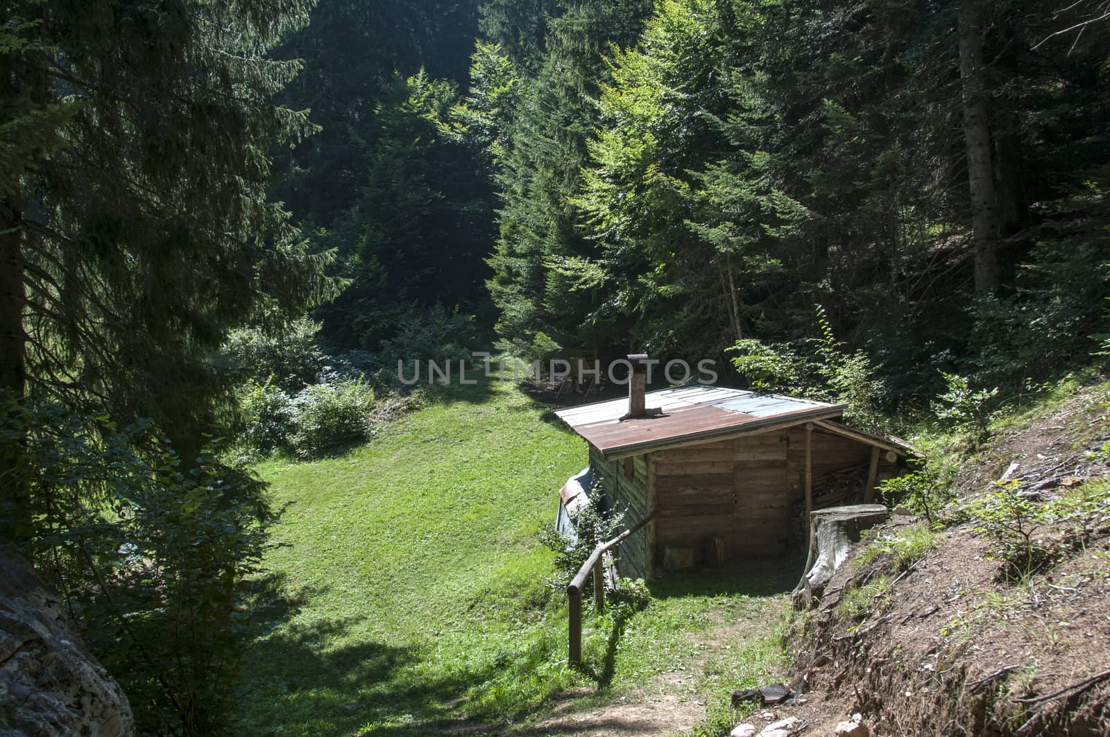 Nature in Italy trentino south Tirol area