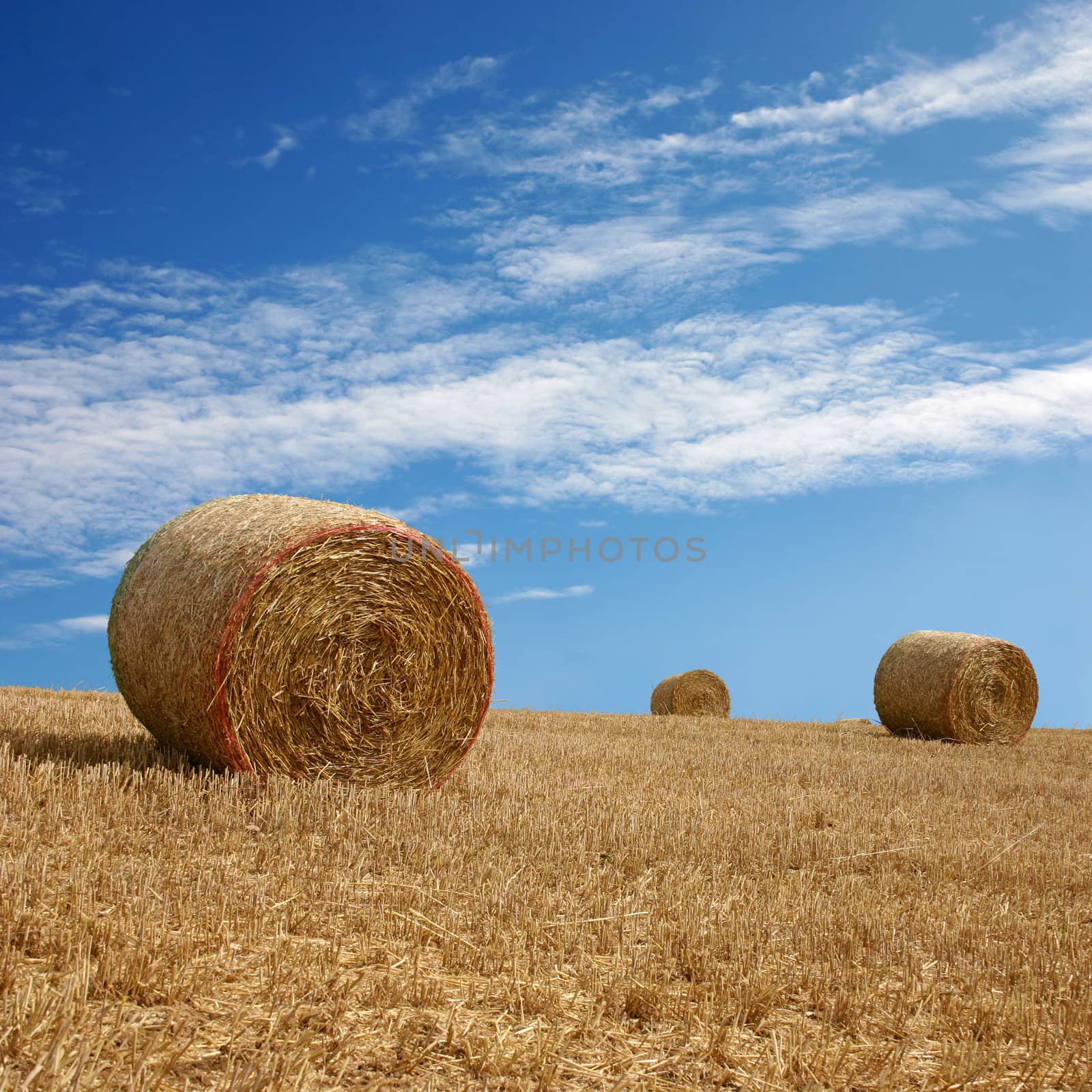 Straw Bales on Farmland with blue Sky