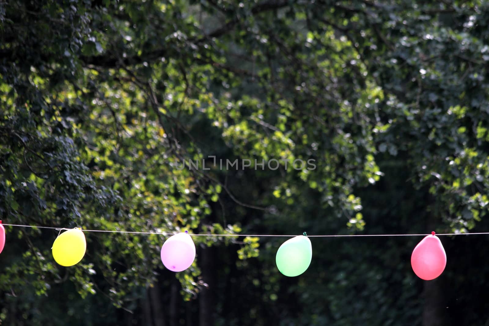 colorful party balloons on a rope by Teka77