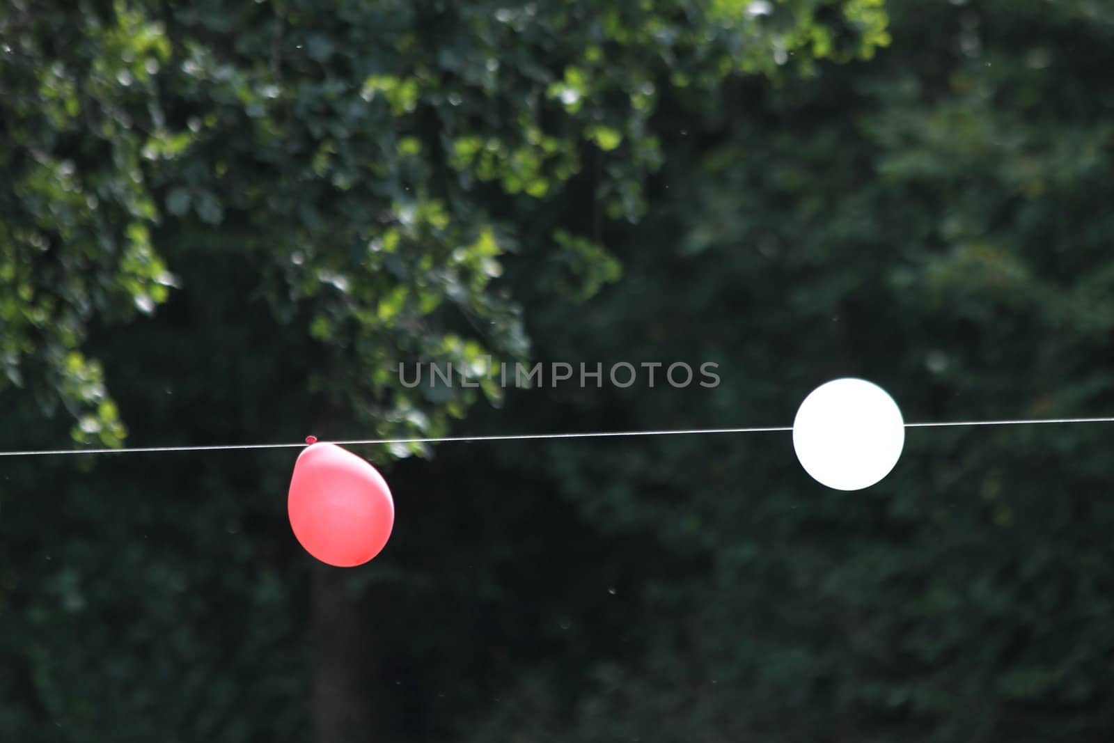 colorful party balloons on a rope