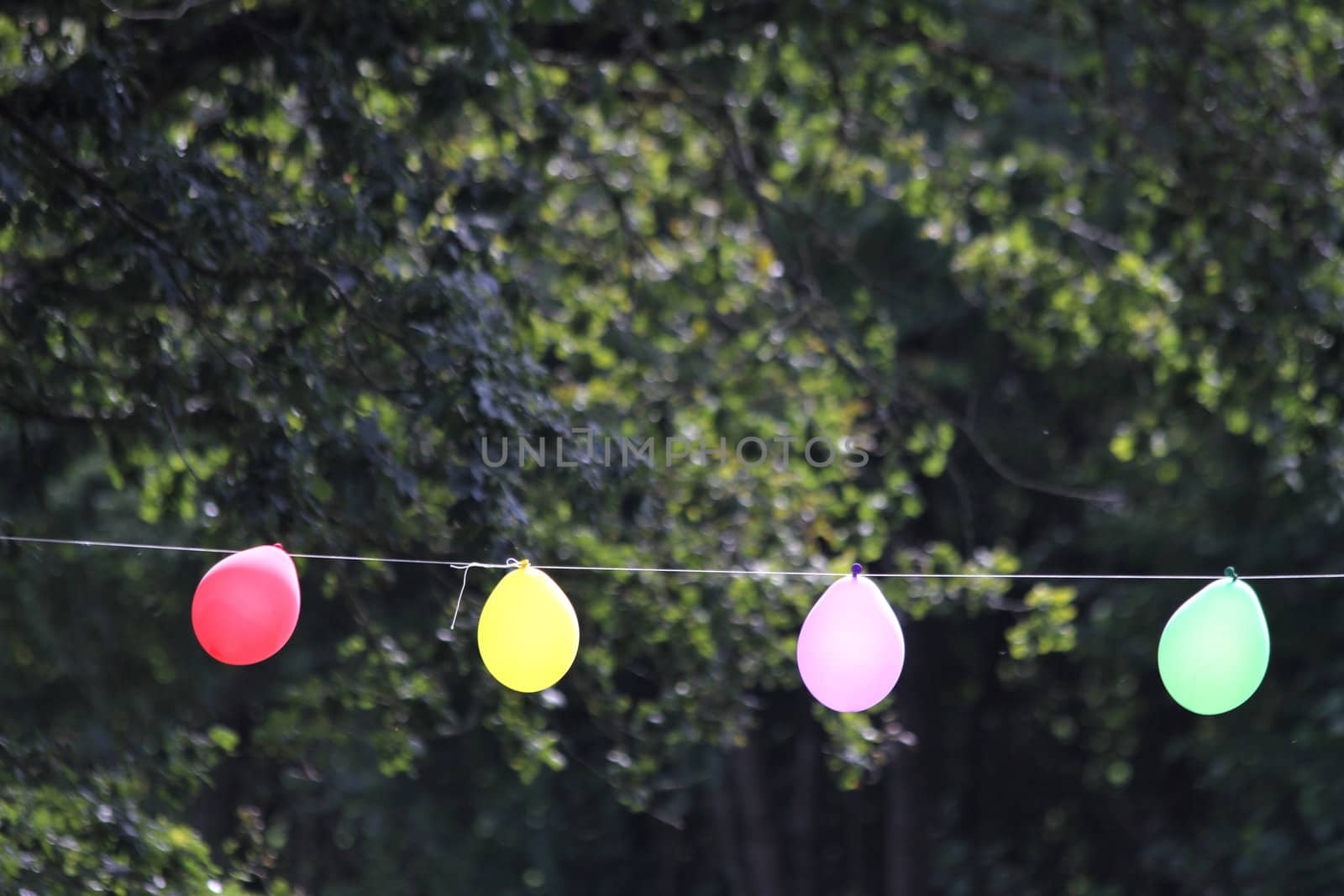 colorful party balloons on a rope by Teka77