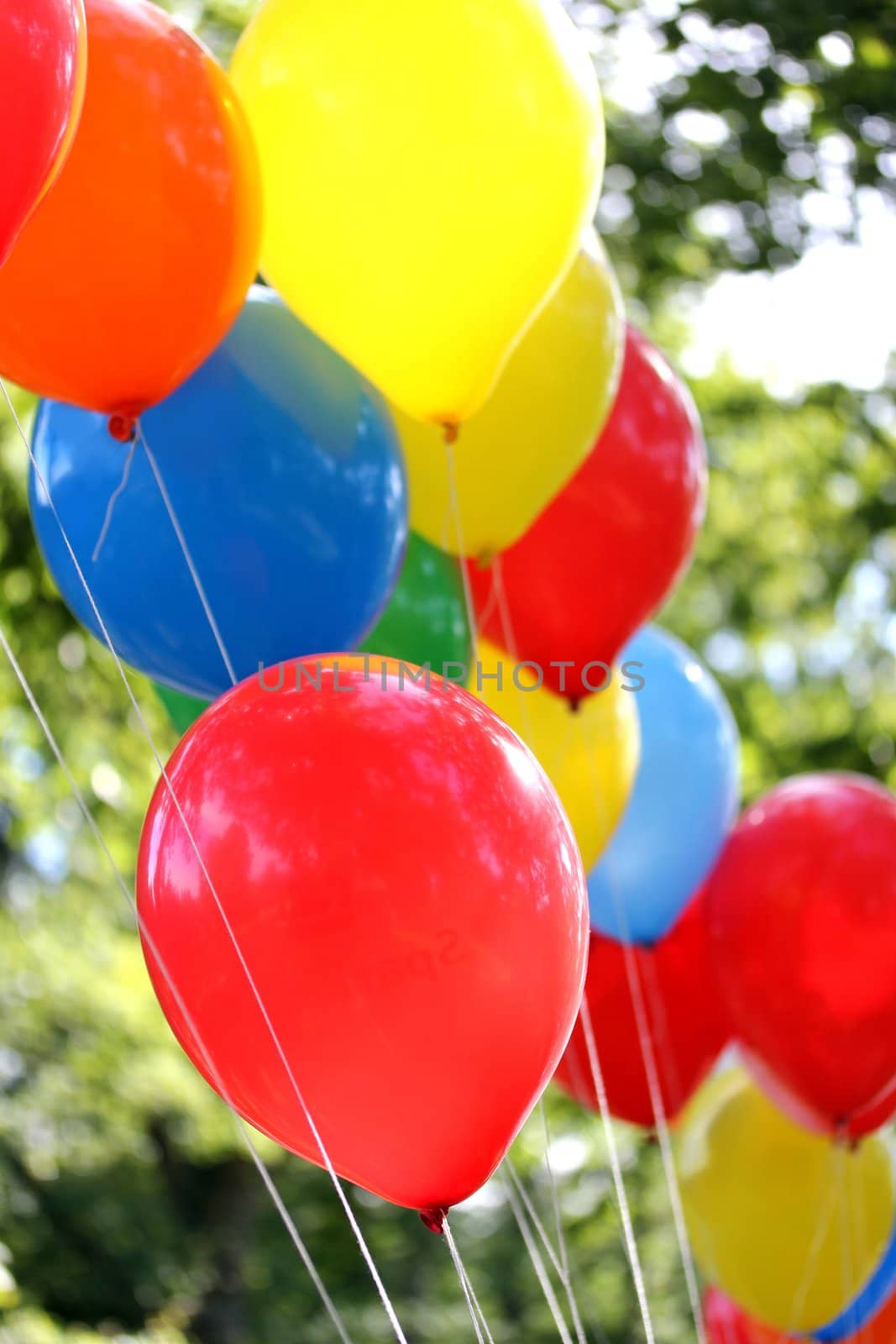 colorful party balloons by Teka77