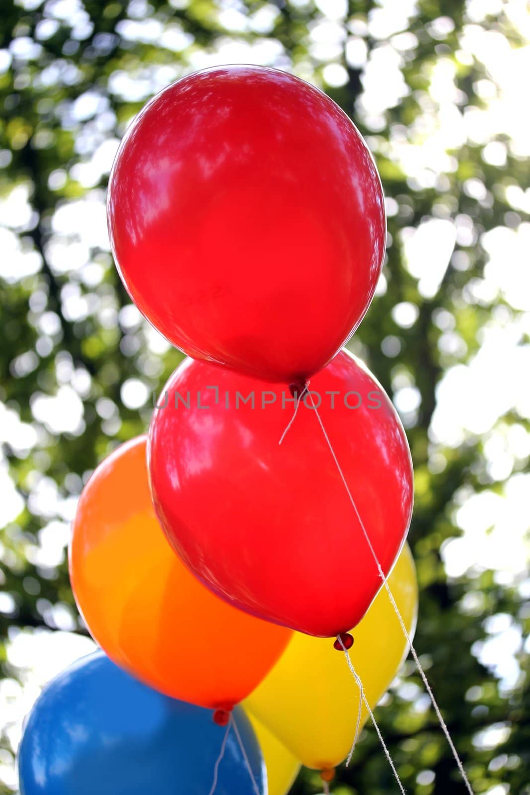 colorful party balloons by Teka77