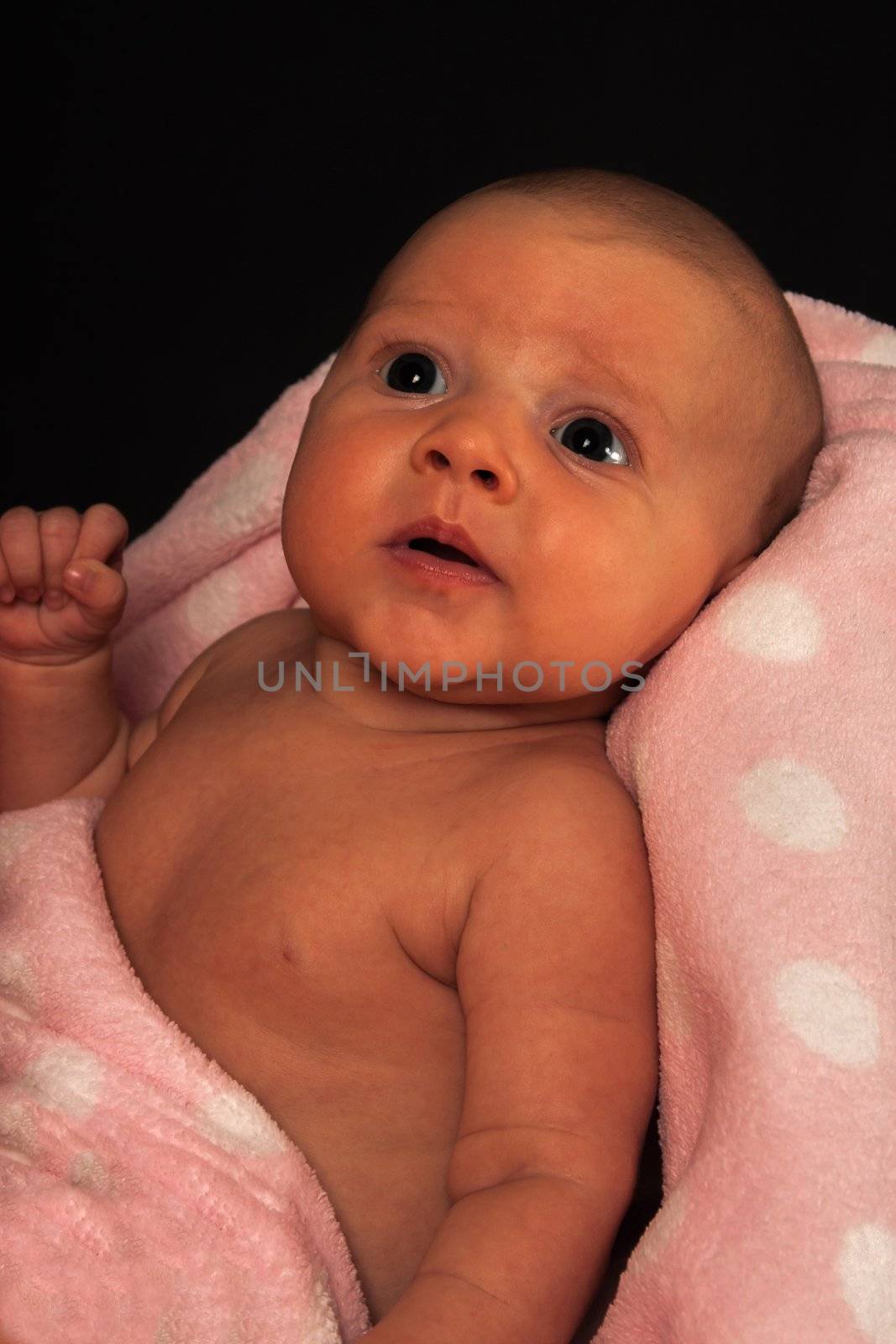 infant wrapped in a blanket on a black background.