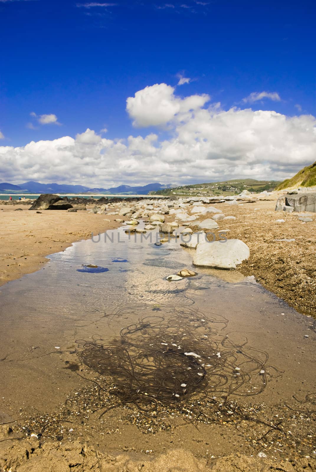 Beach at Shell Island, Wales,UK 