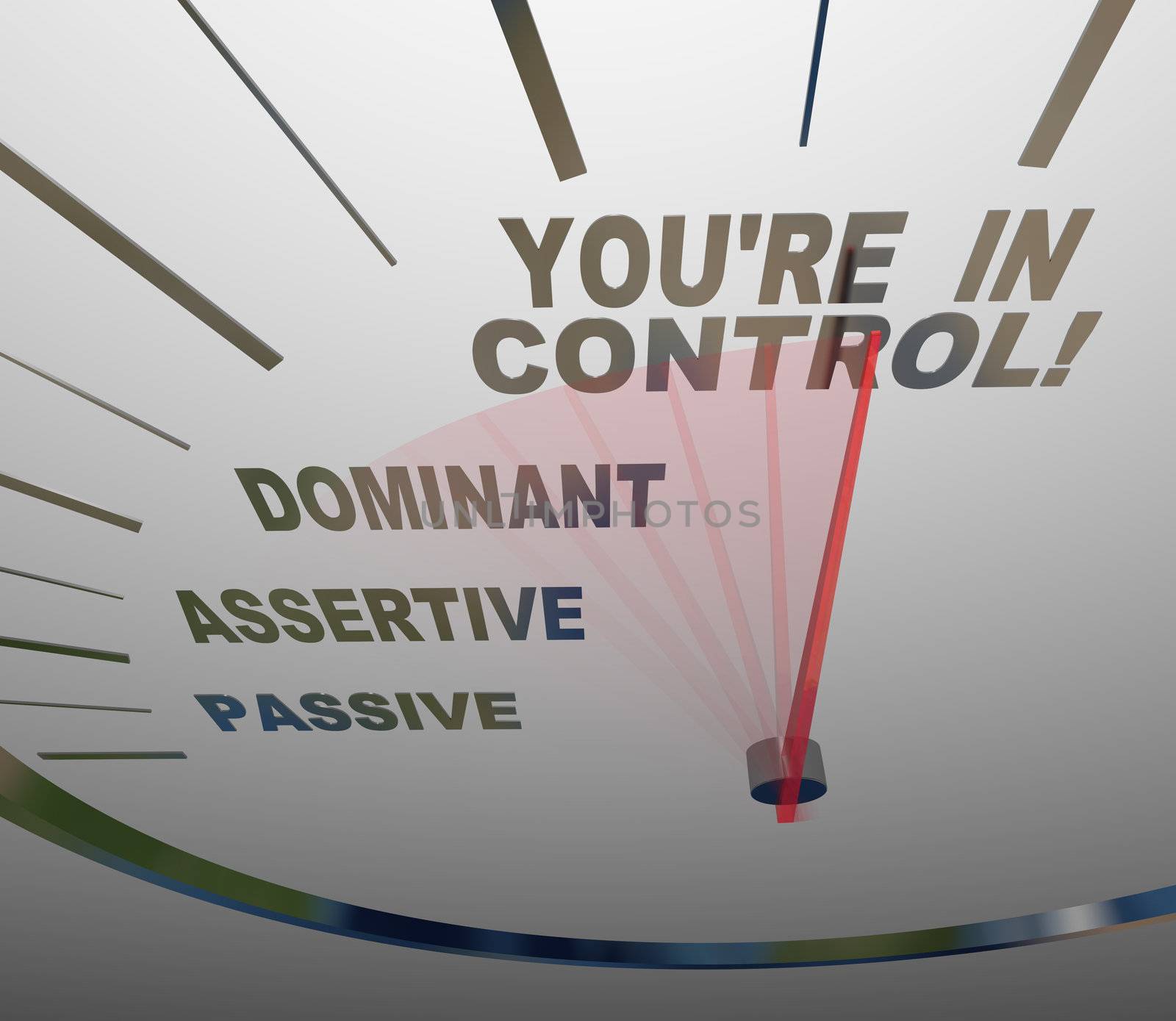 You're in Control Speedometer Agressive and Assertive by iQoncept