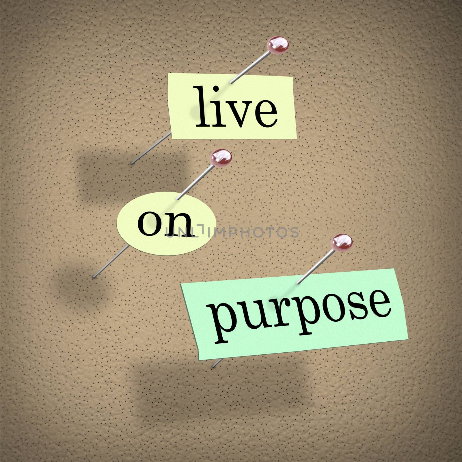 The words Live on Purpose cut out on pieces of paper and pinned to a bulletin board to remind you to live a determined, driven, purpose-filled life