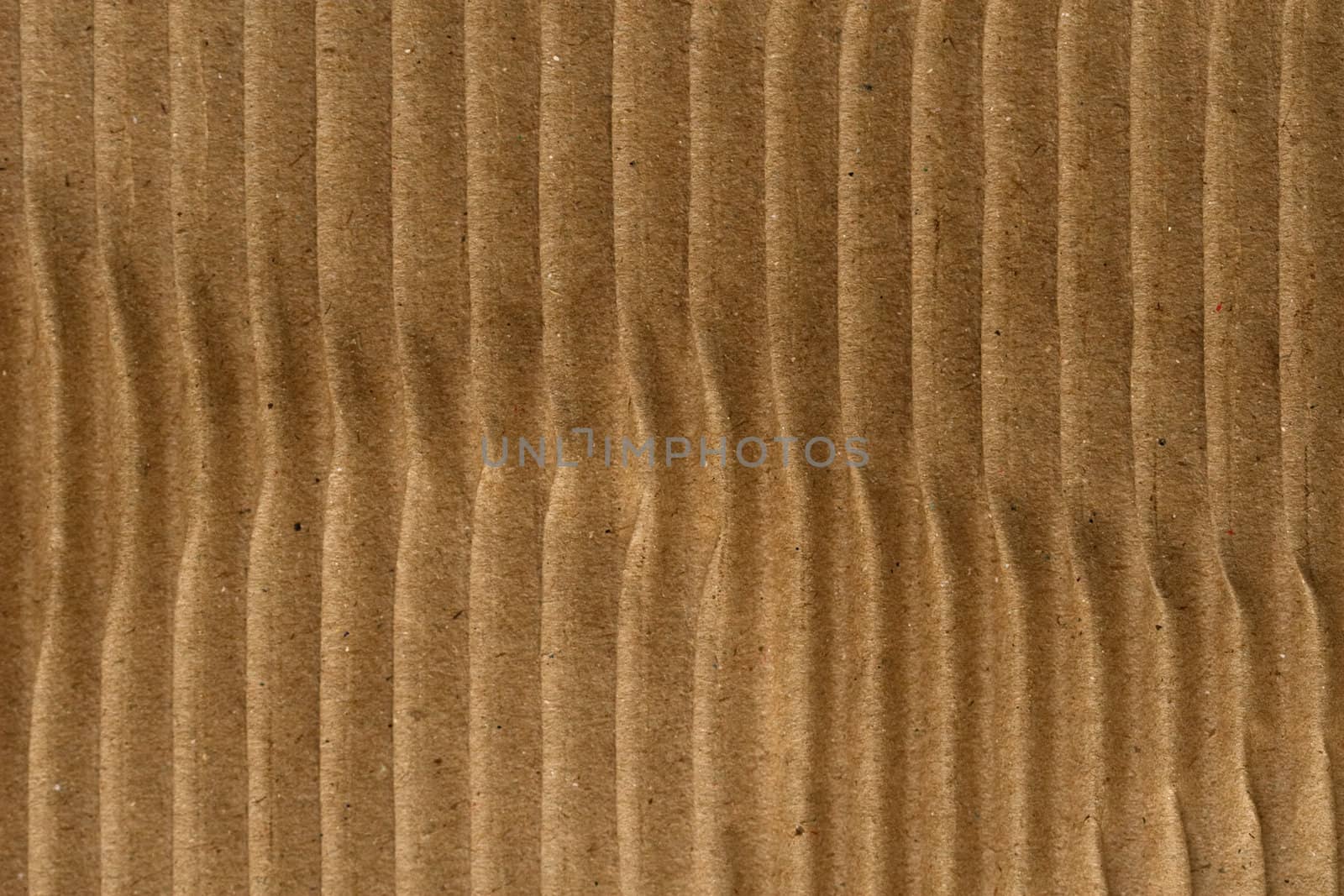 Cardboard Texture