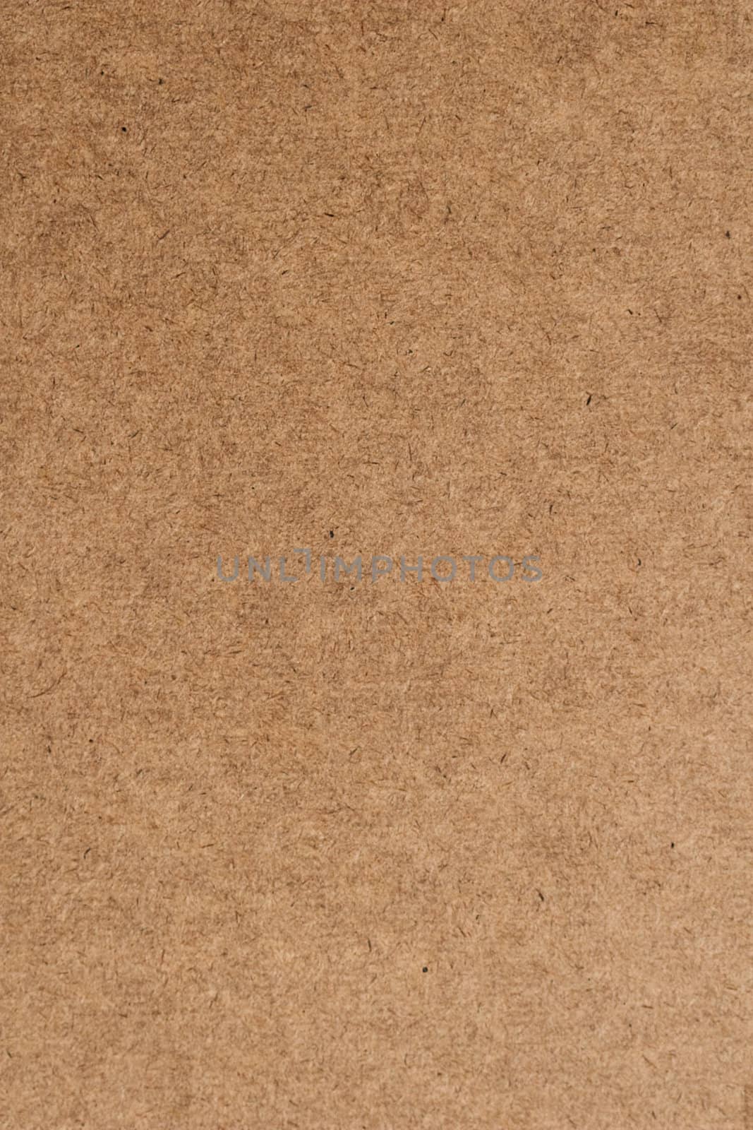 Cardboard Texture