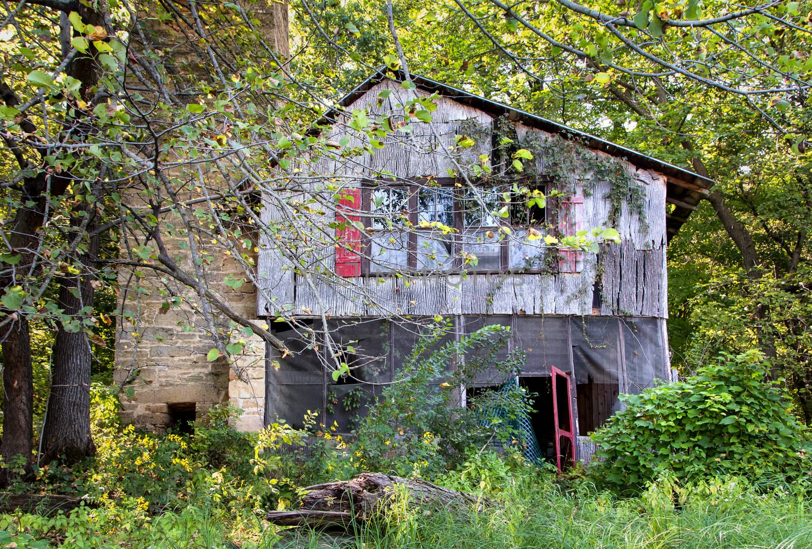 A dilapidated house sits abandoned on the banks of the St. Croix River