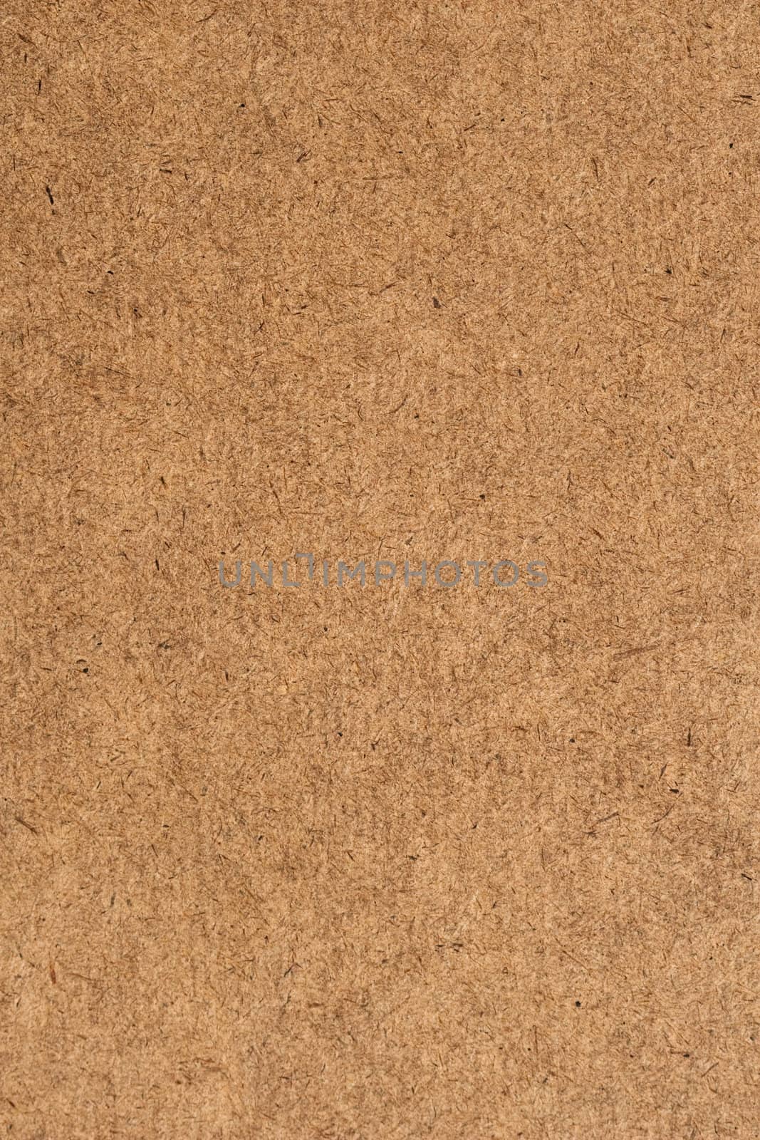 Cardboard Texture