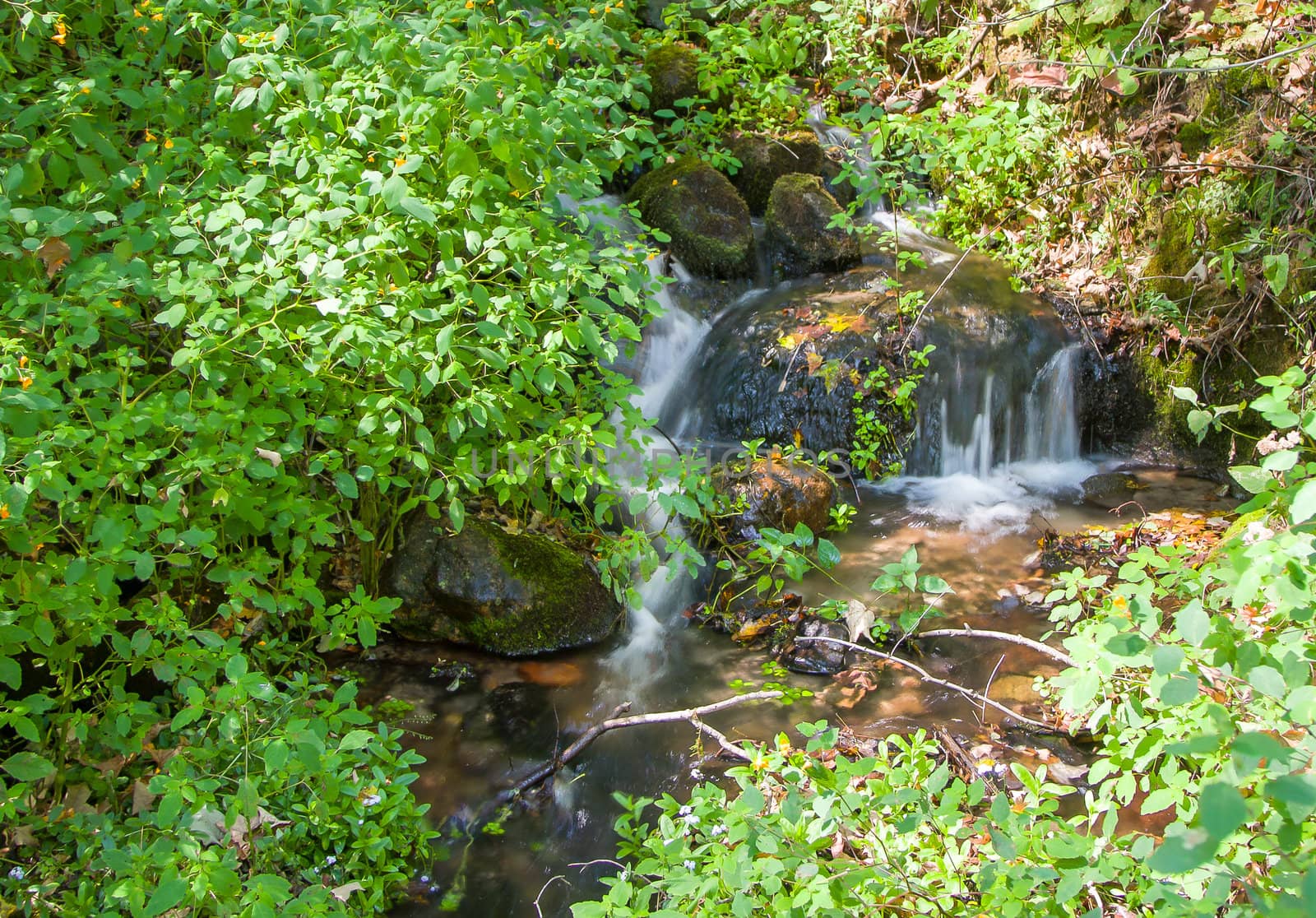 Waterfall in the Glen by wolterk