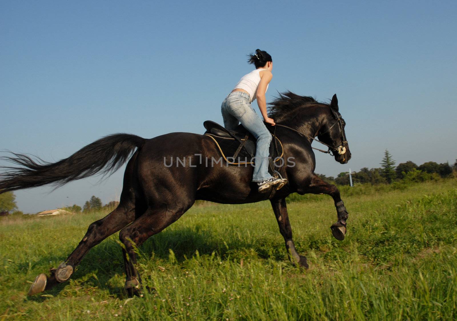 young woman and her black stallion in a field