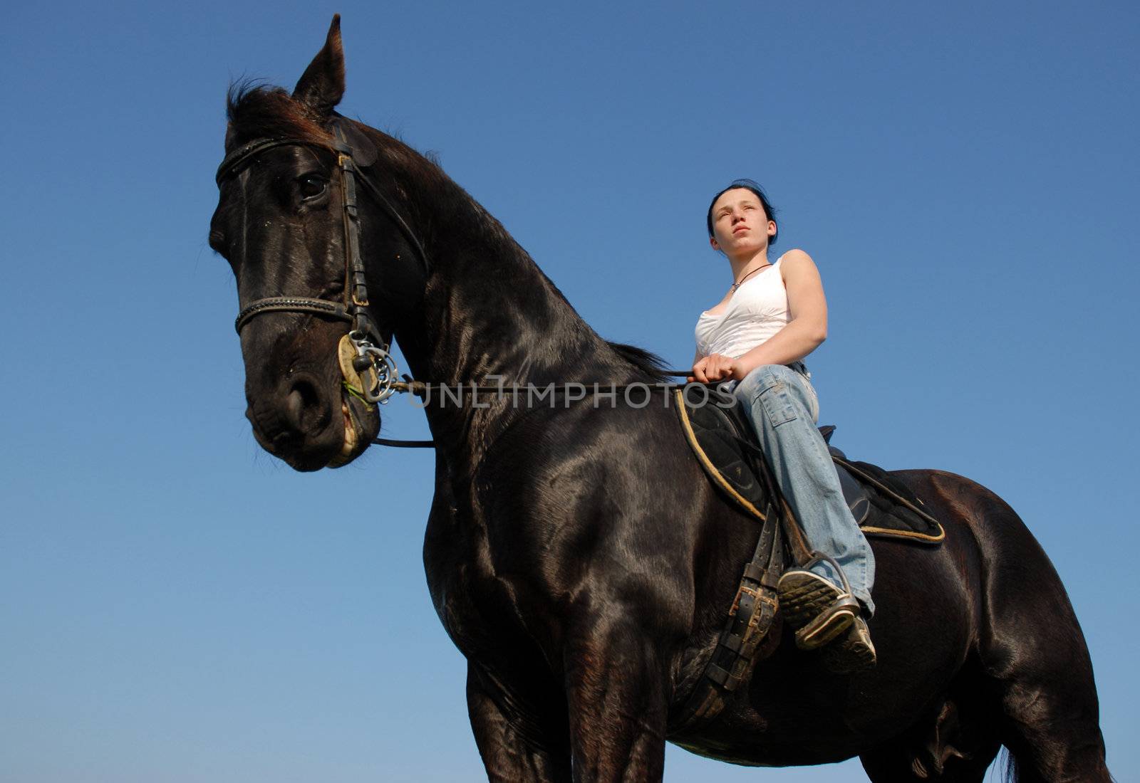 young woman and her black stallion in a field