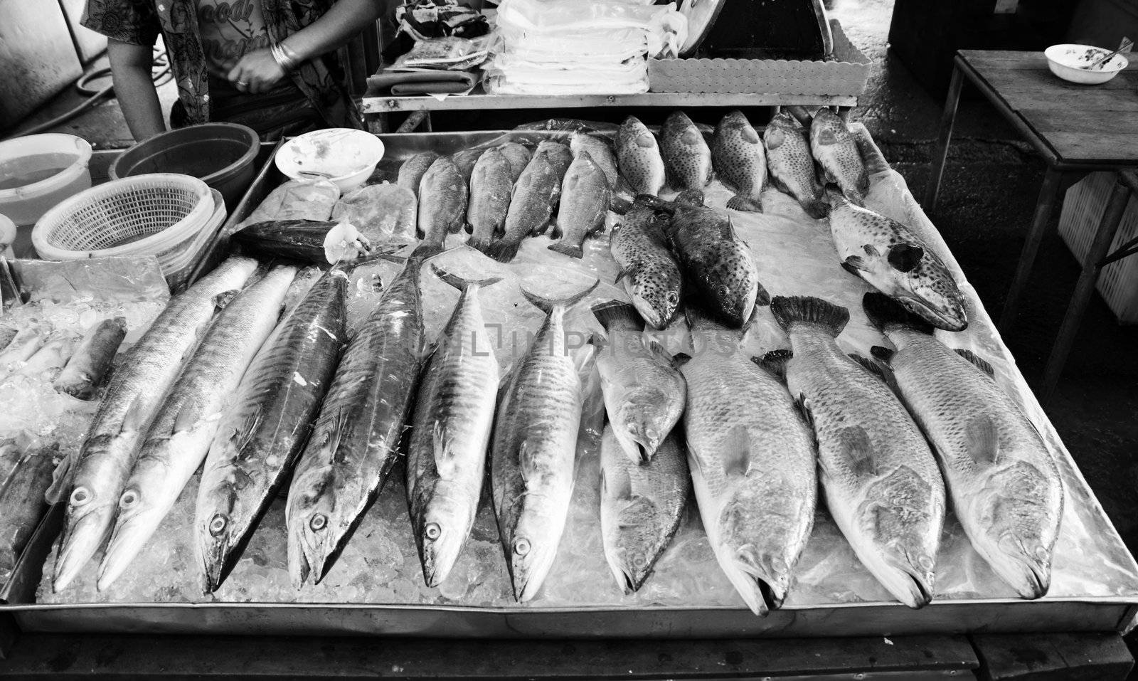 Variety of fresh fish seafood in market by siraanamwong