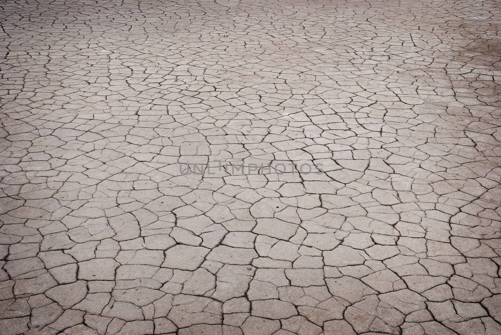 cracked earth texture by Zhukow