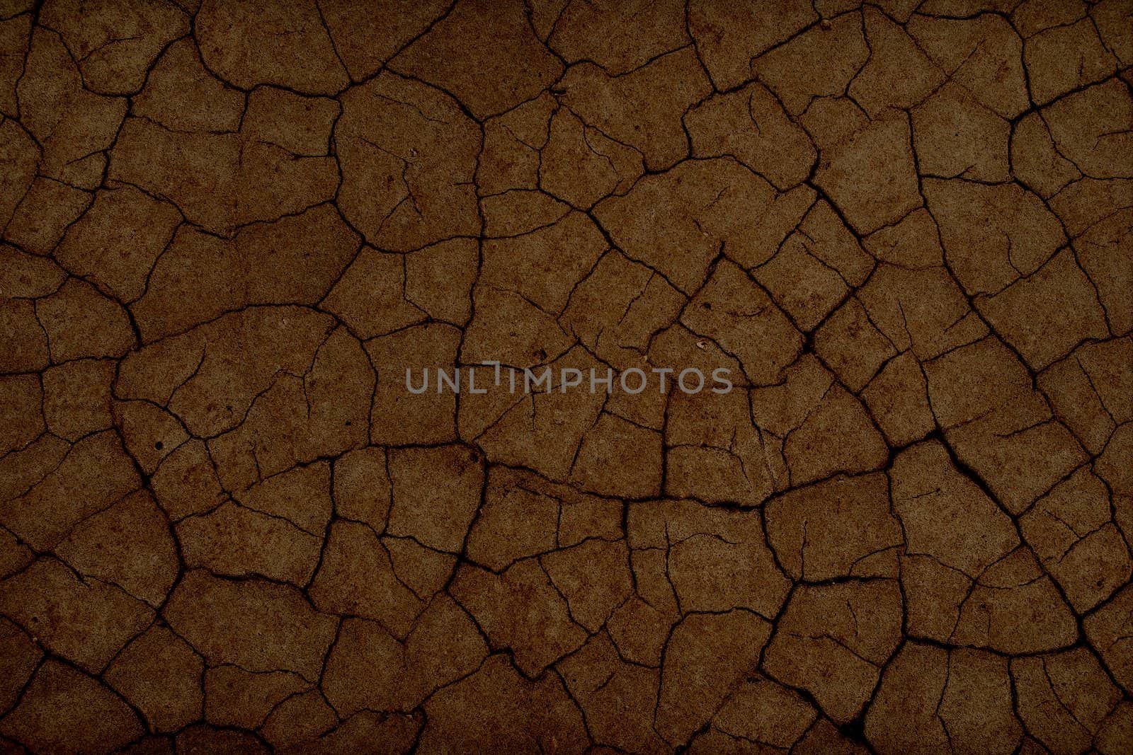 cracked earth texture by Zhukow