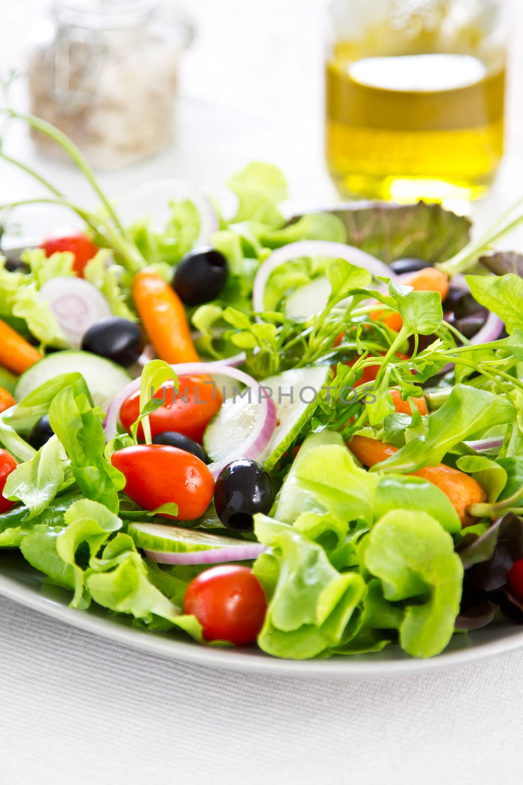 Fresh Vegetables salad by vanillaechoes
