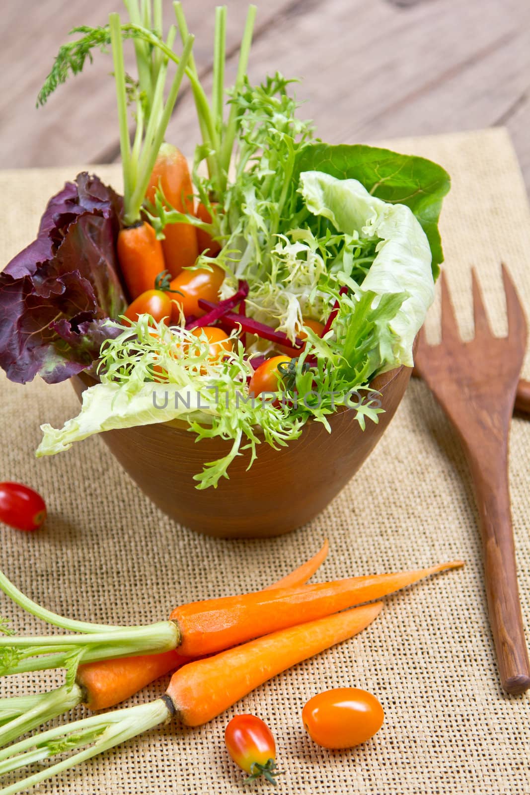 Garden salad bowl by vanillaechoes