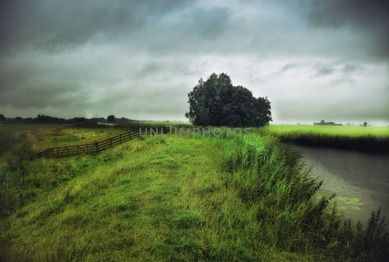 rain weather landscape  photo