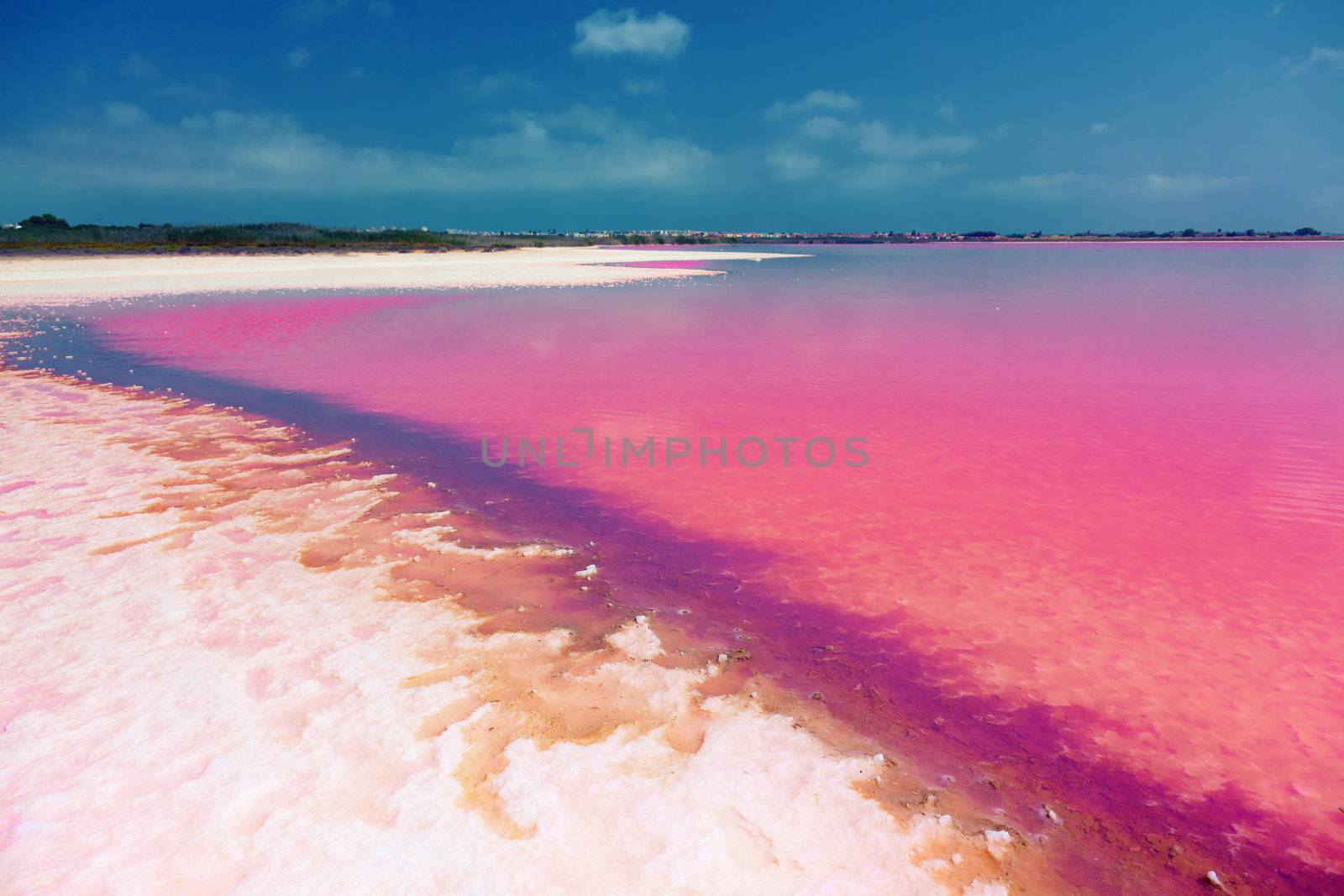 The salty shore of the Laguna Salada de Torrevieja.Spain.  The water looks pink due to a special algae that grows in high levels of salt. 