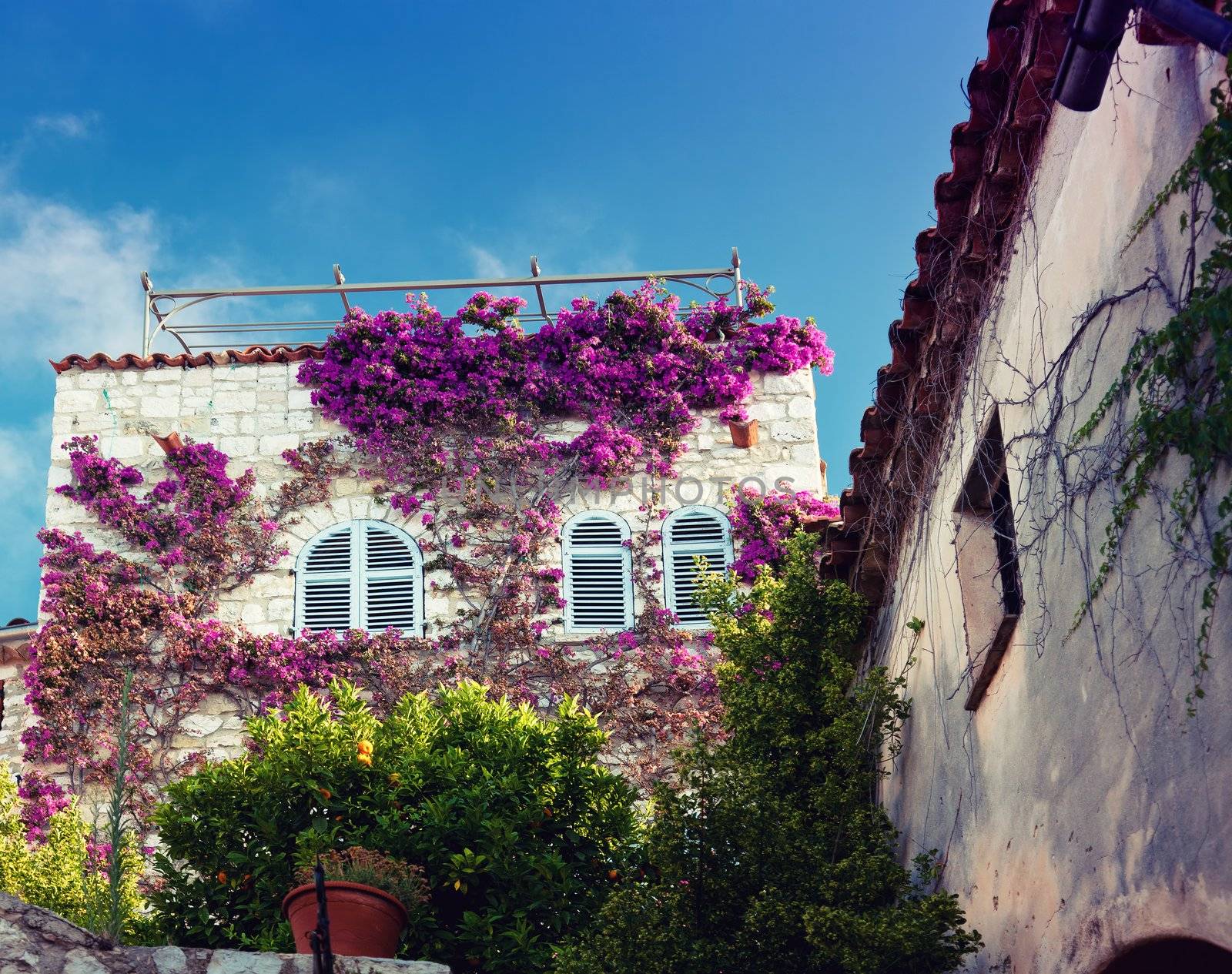 beautiful house in France